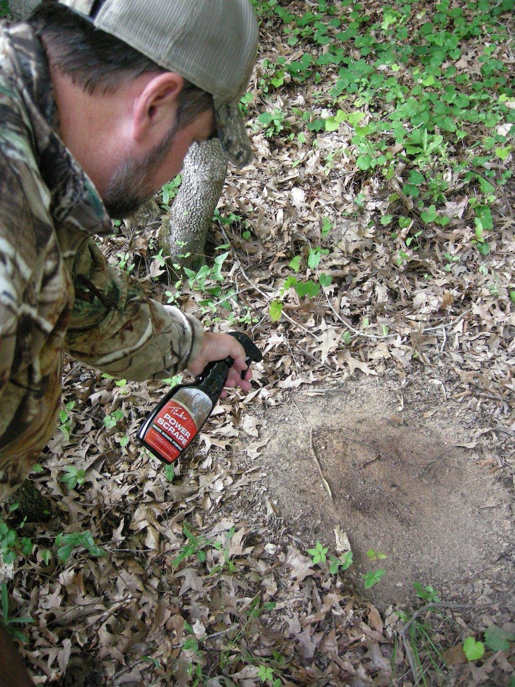 Adding whitetail scent to an existing scrape, or scrape seeding, is a worthwhile ploy during whitetail rut dates. (Photo courtesy of Tink's)
