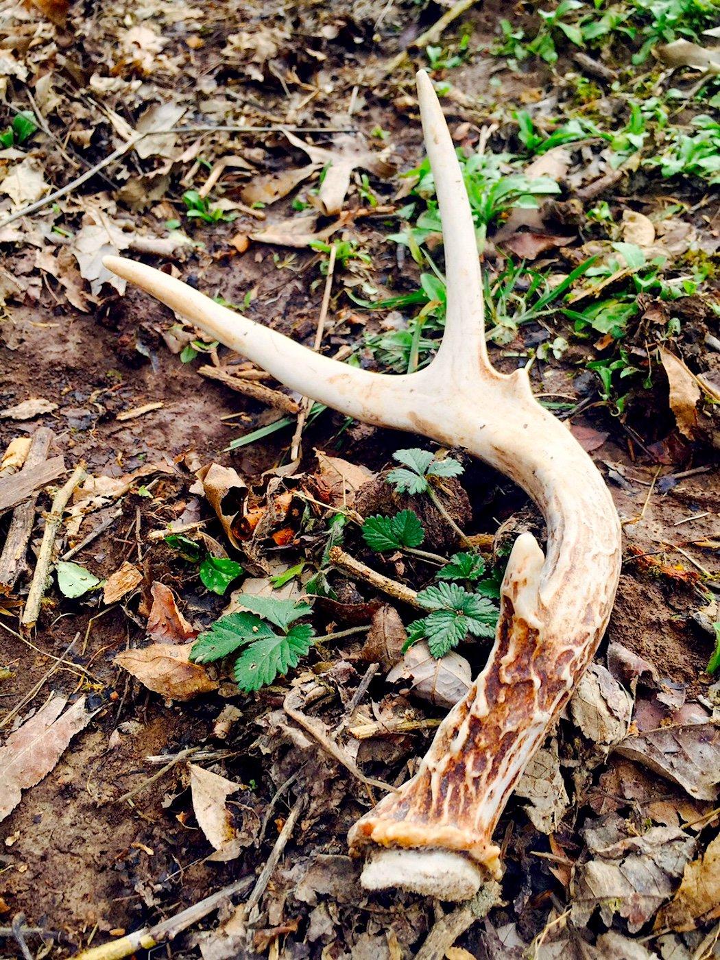 Find Sheds on Major Trails 