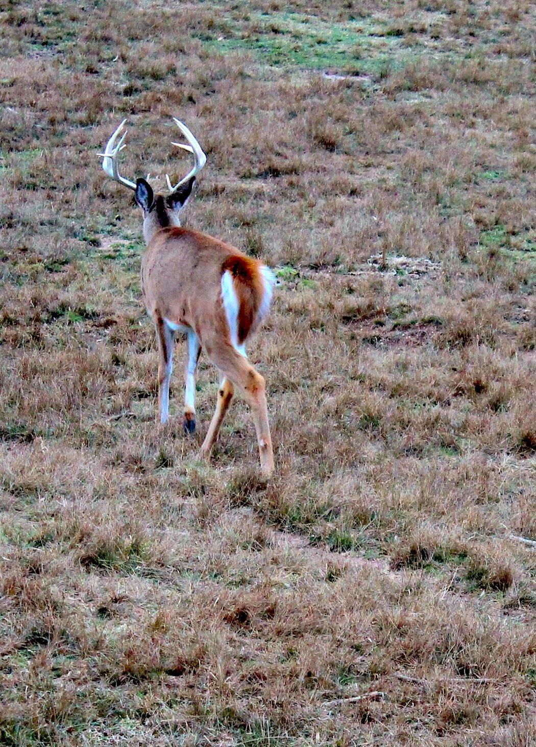 OVERHUNTING WILL KILL YOUR CHANCES. LITERALLY.