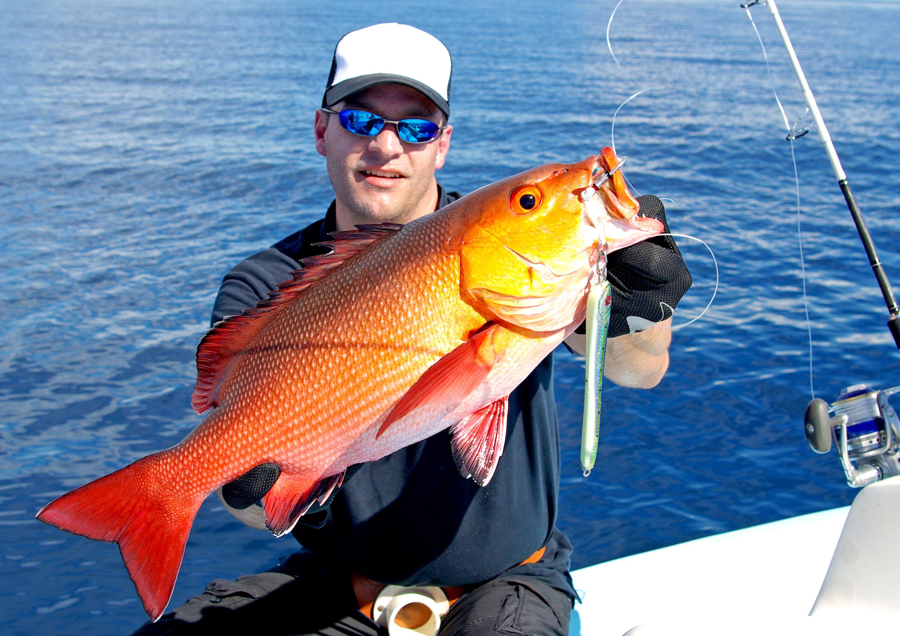 Image: red_snapper