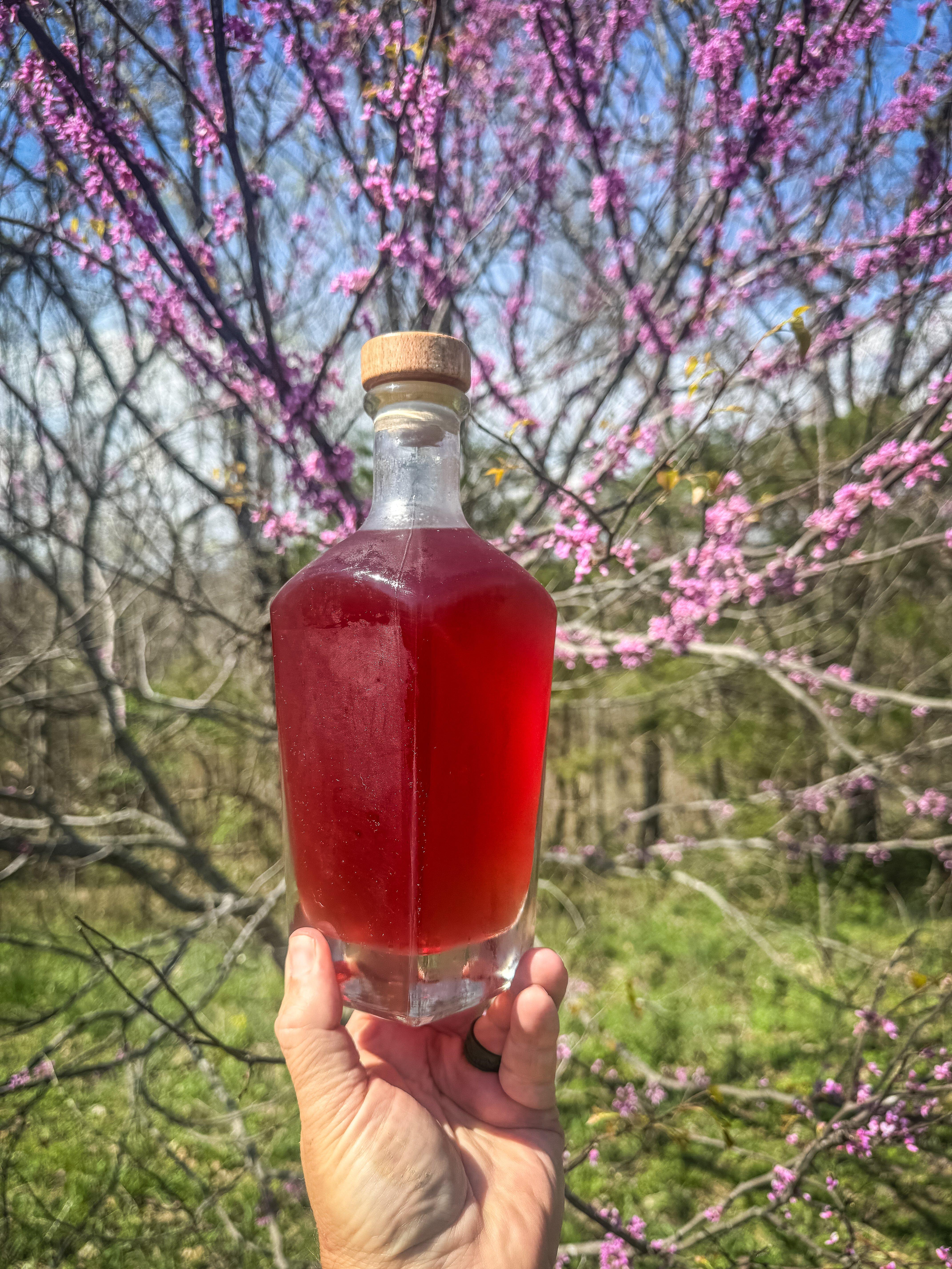 Image: redbud_syrup_13