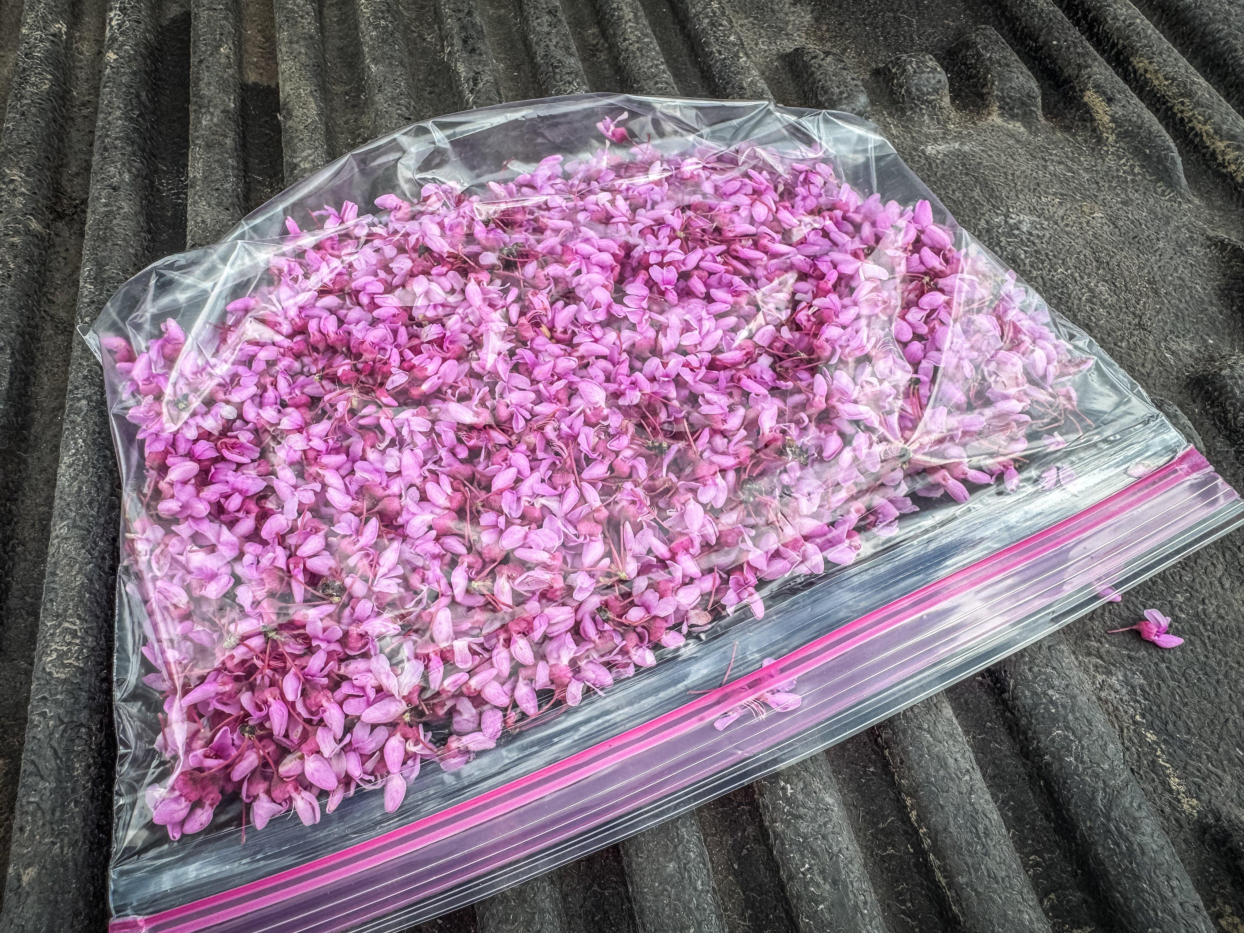 Image: redbud_syrup_2