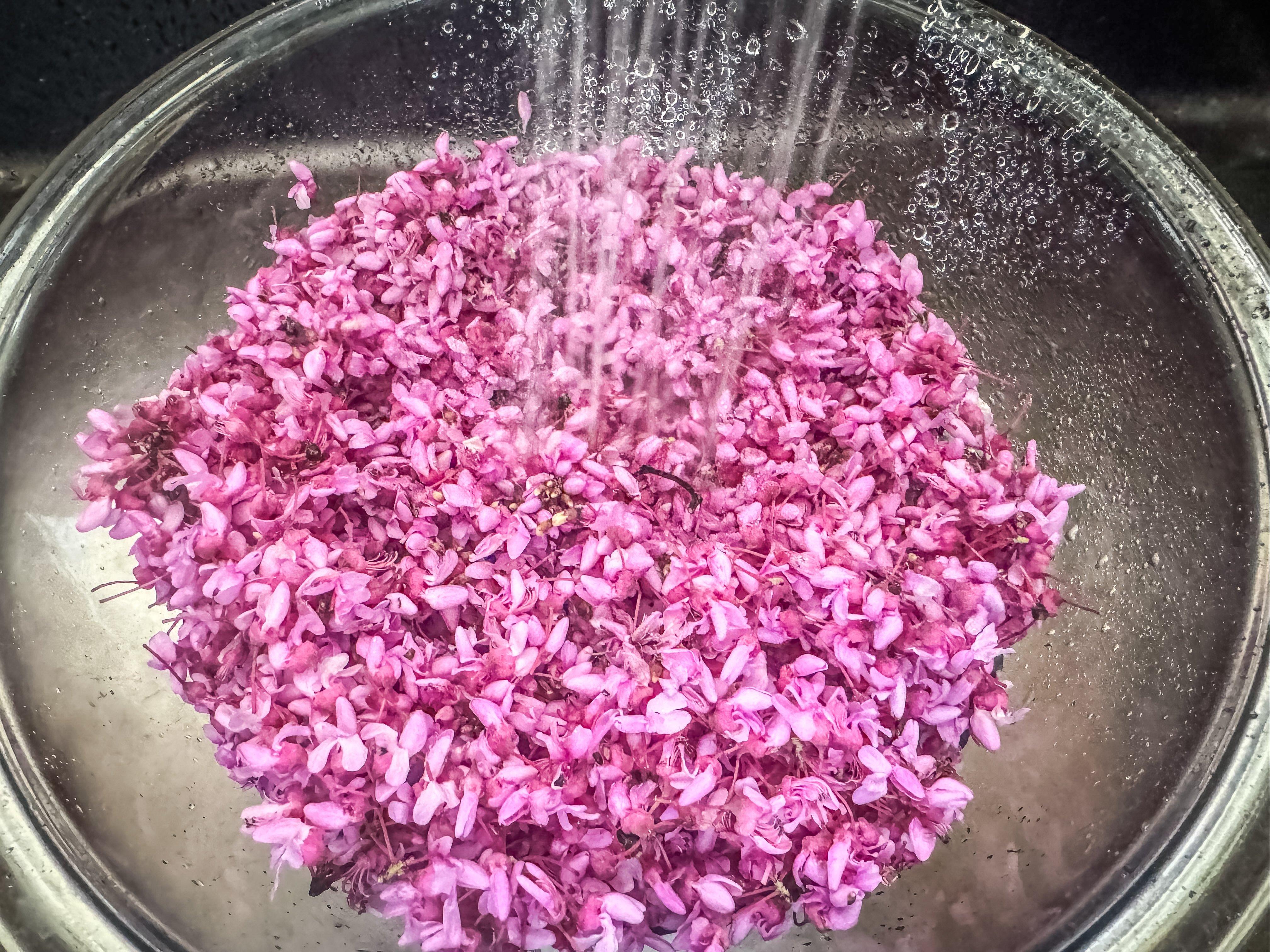 Image: redbud_syrup_3