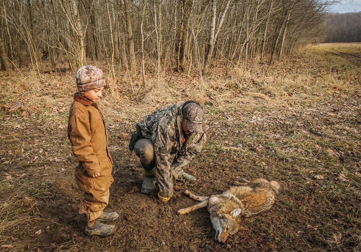 10 Coyote Trapping Mistakes Beginners Make - Realtree Camo