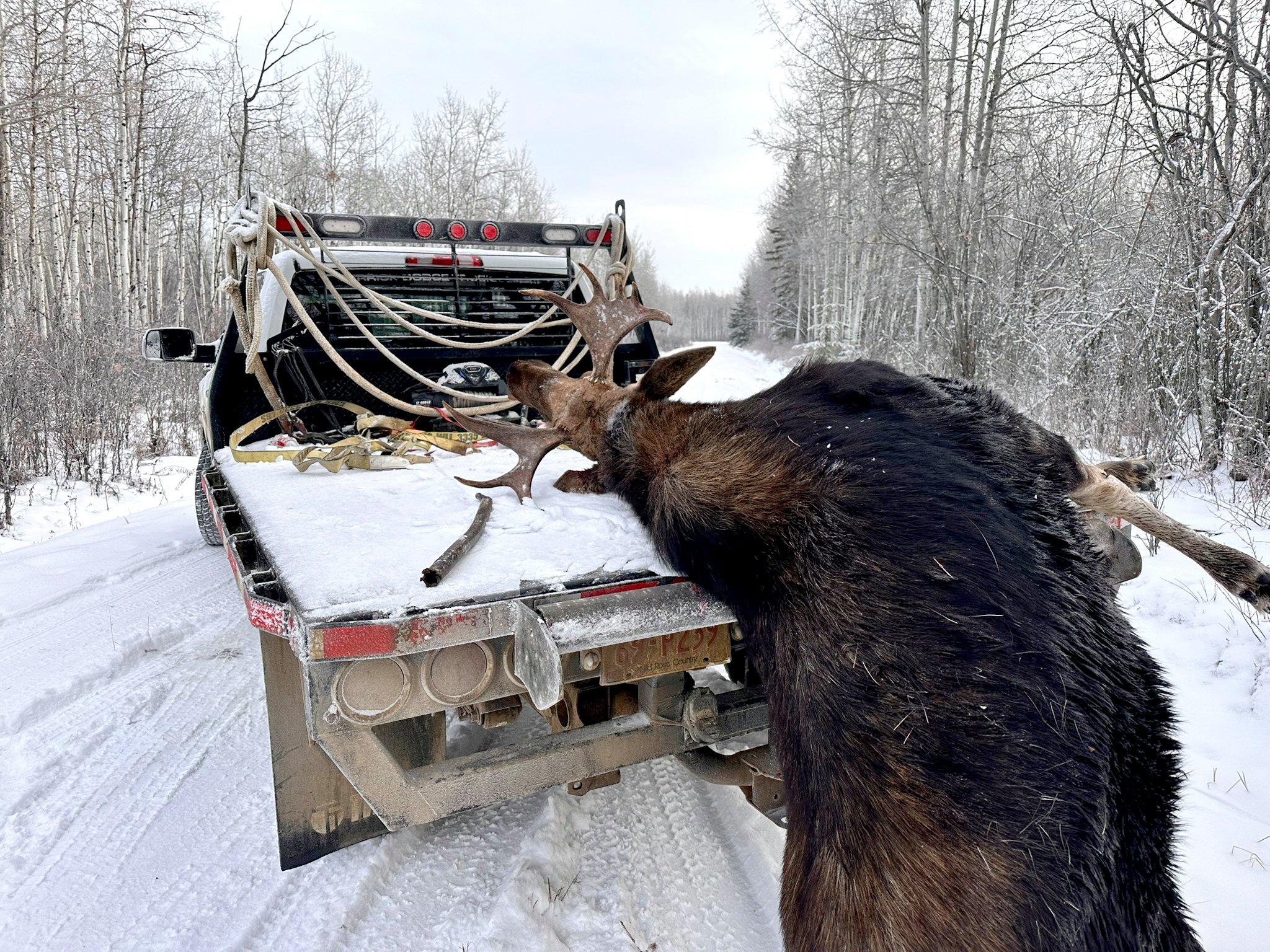 Image: retrieve_big_game_1