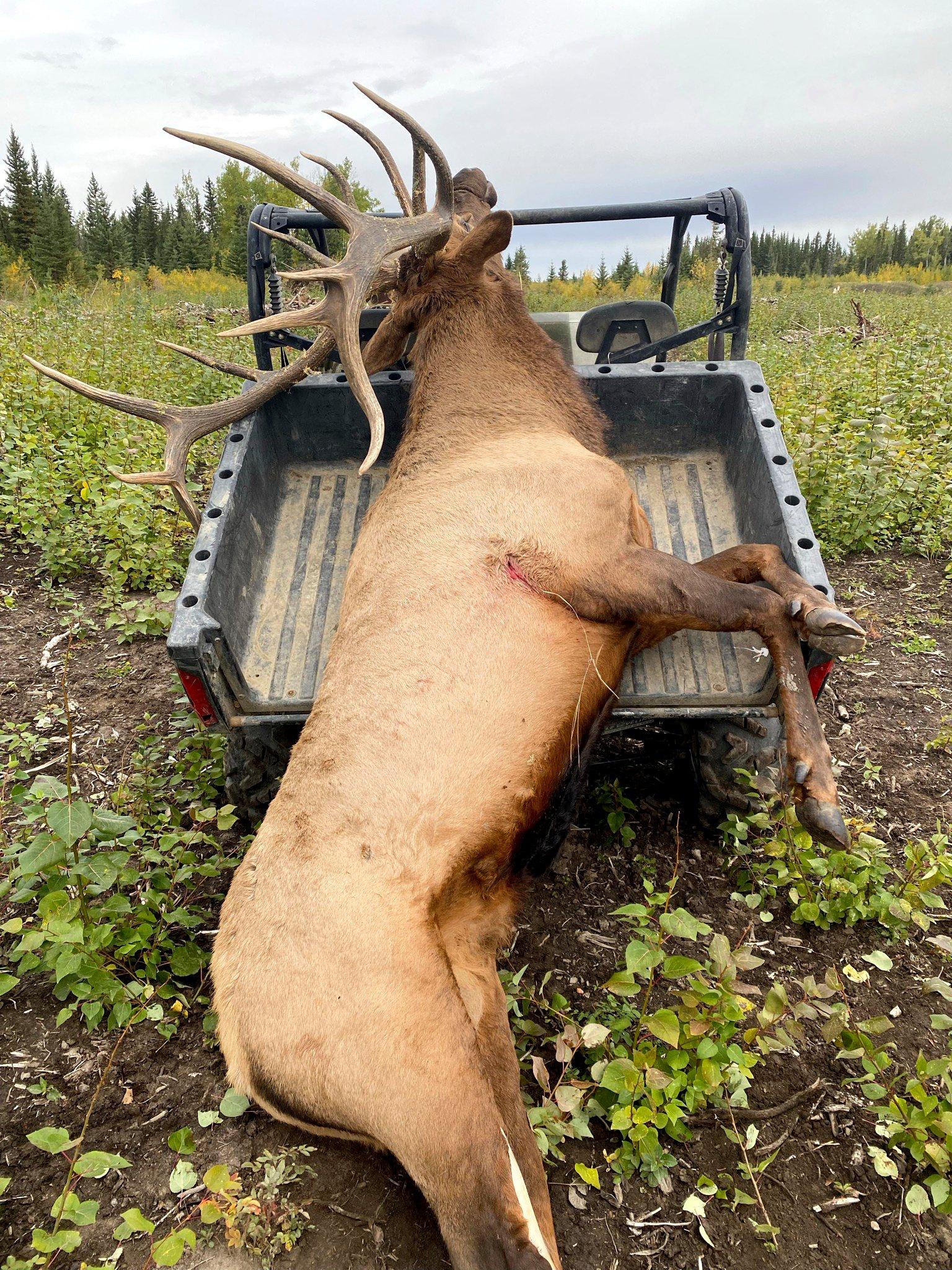 Image: retrieve_big_game_2