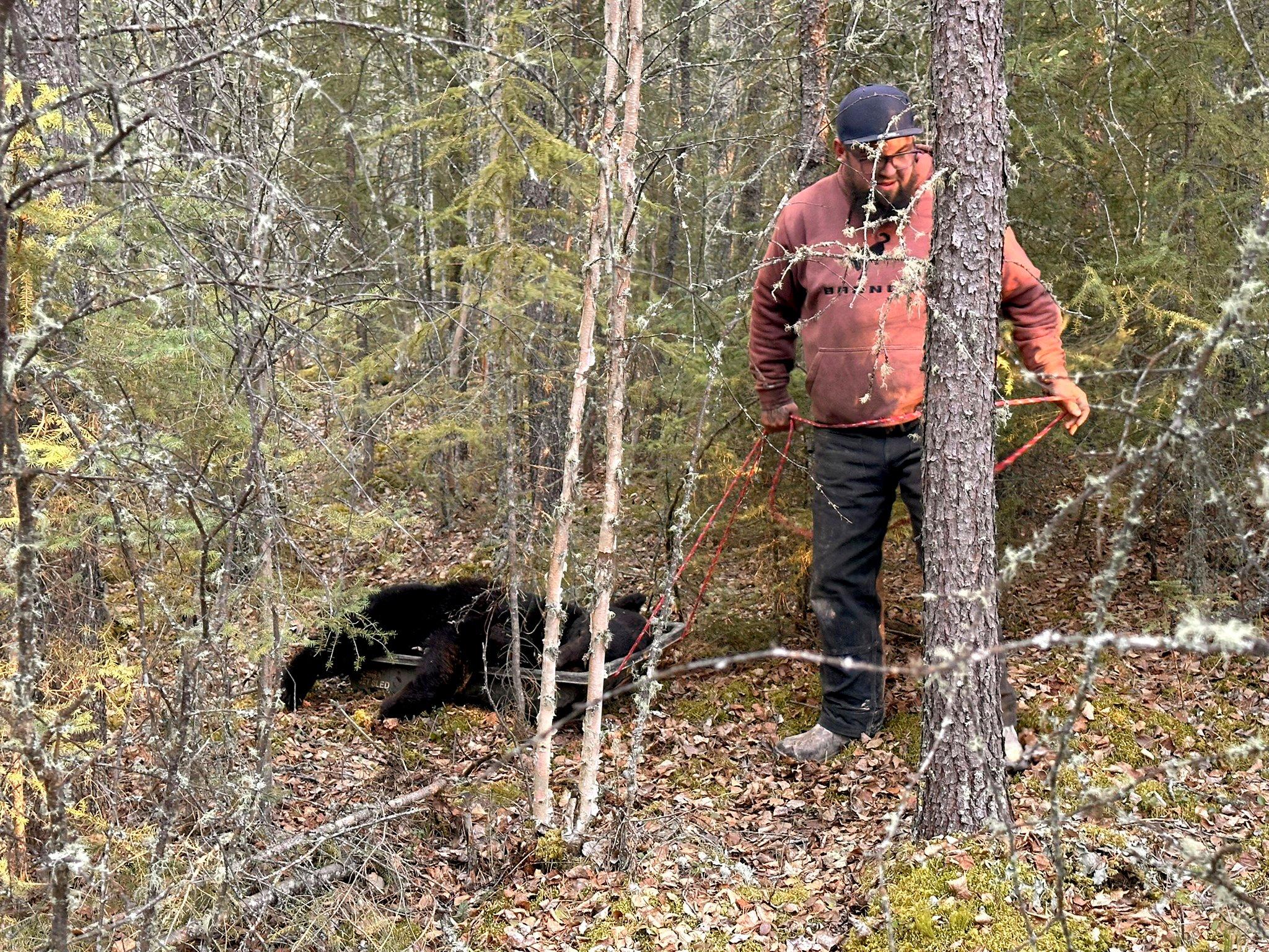 Image: retrieve_big_game_4