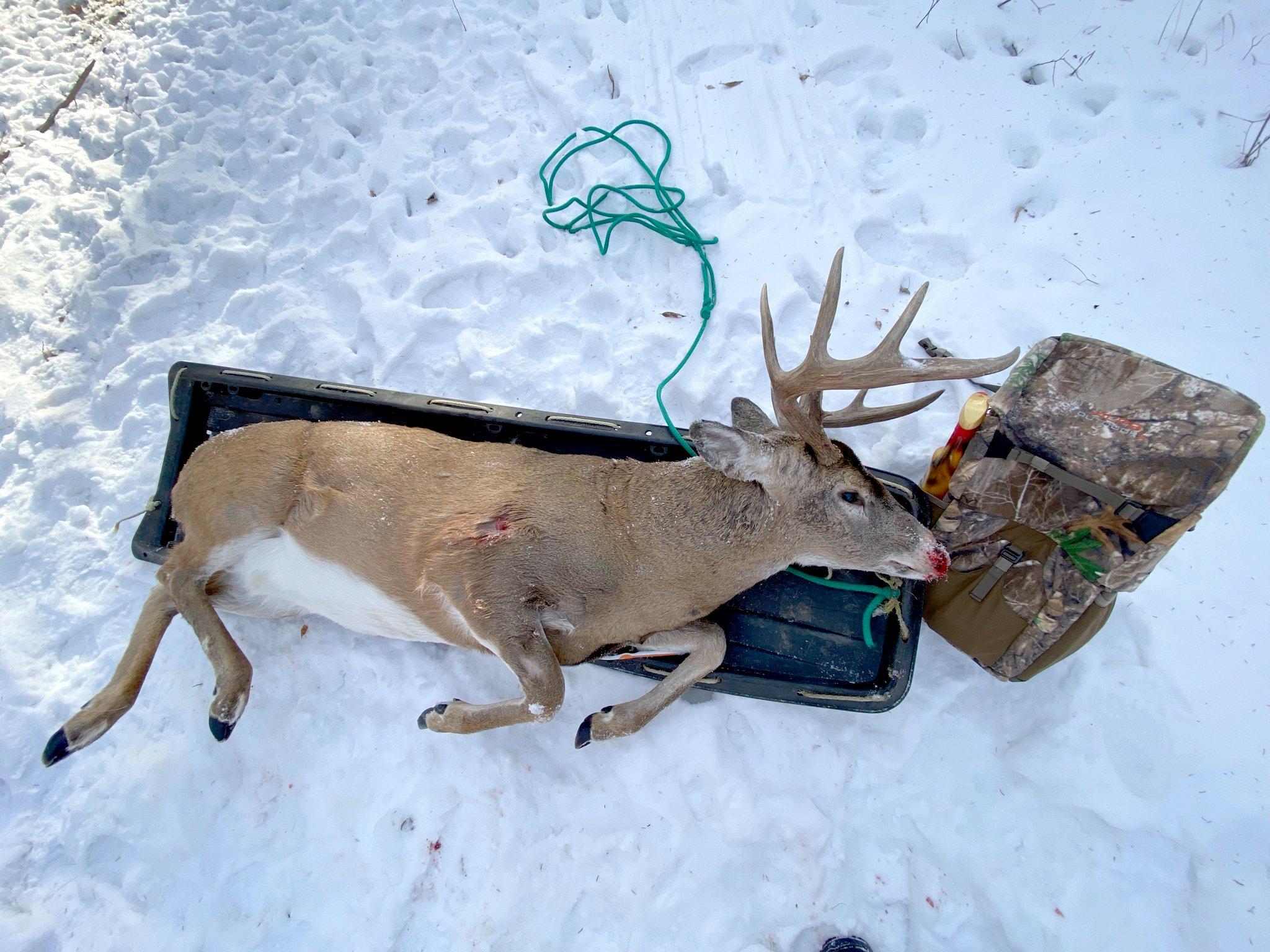 Image: retrieve_big_game_5