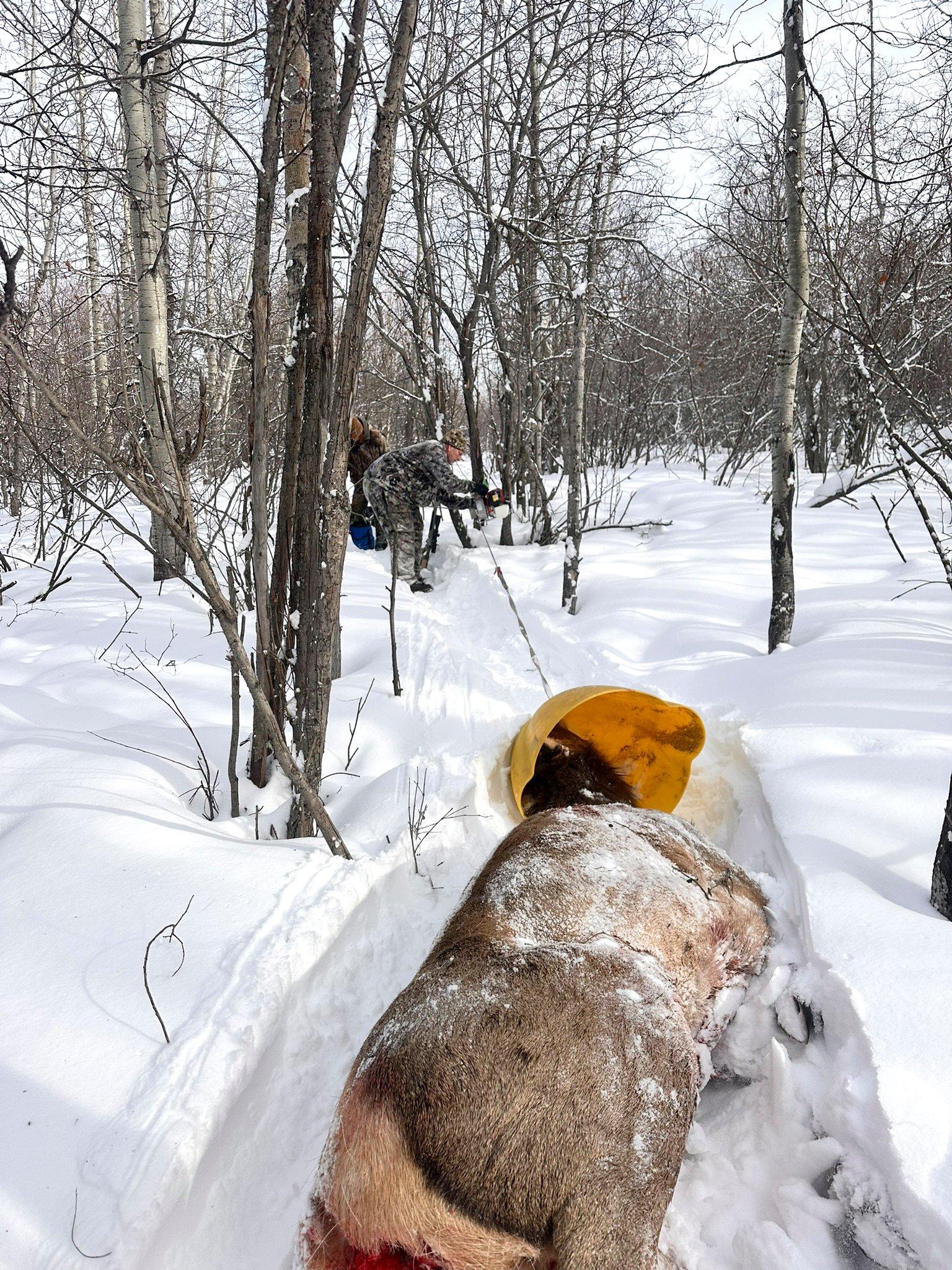 Image: retrieve_big_game_7