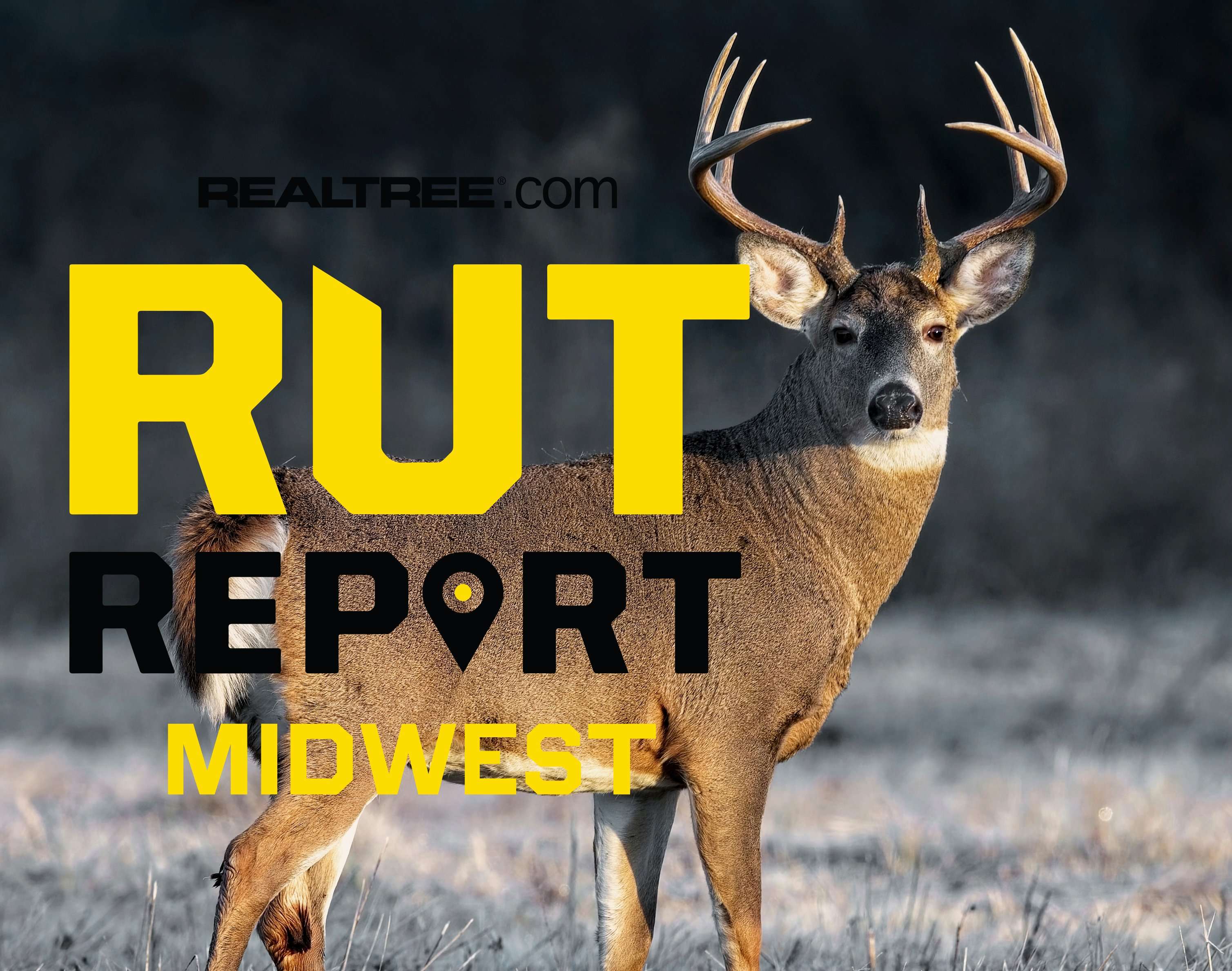 Midwest Rut Report, Week 10: Bucks Mostly Settled Back Into Feeding ...