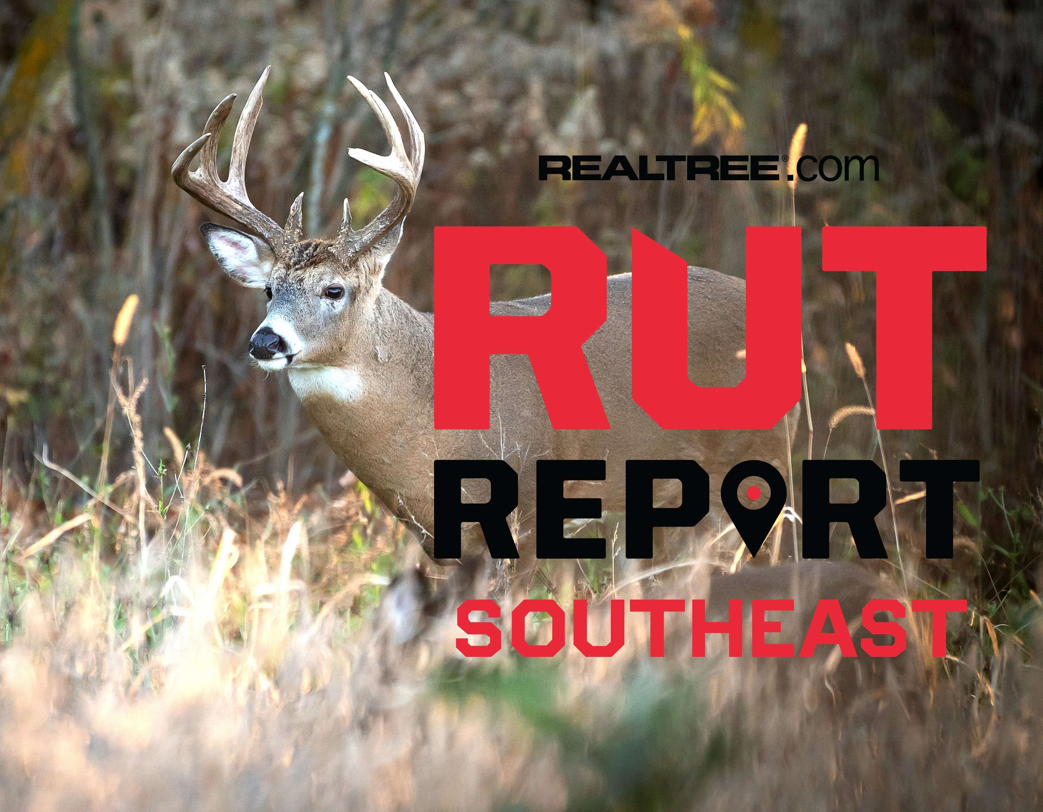 Southeast Rut Report, Week 10: Rut Approaching Peak in Some Areas While ...