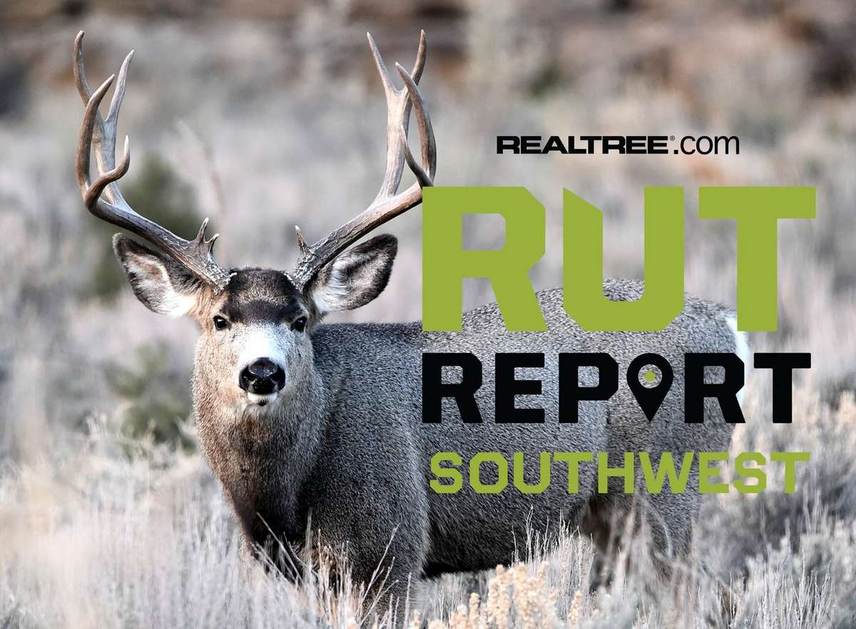 Southwest Rut Report, Week 10: Rut Activity Continues to Taper Off ...