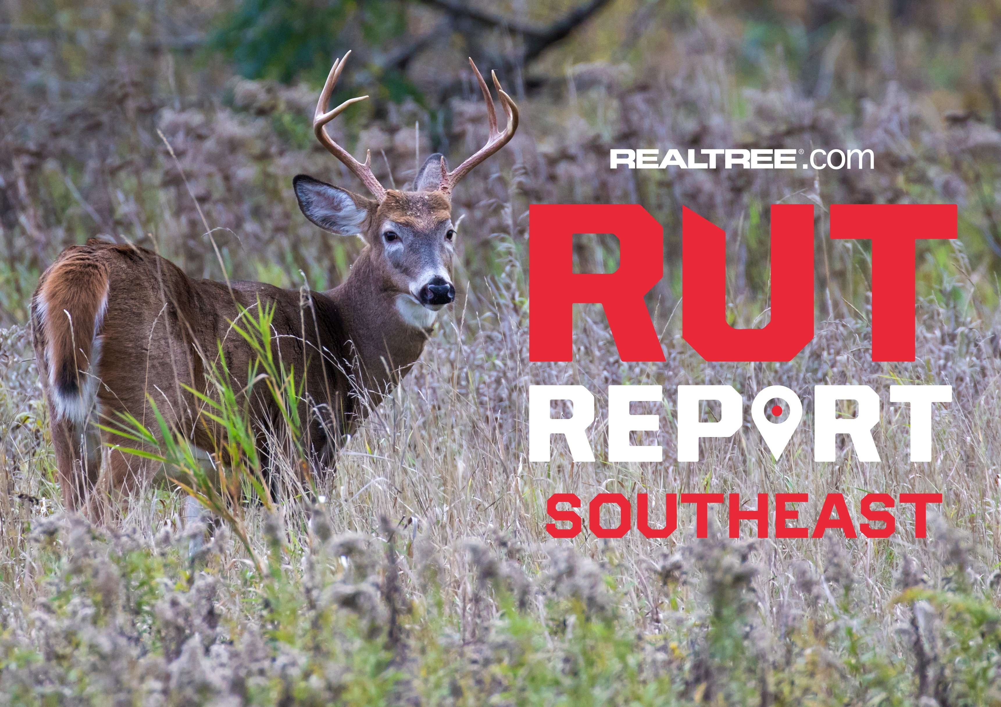Southeastern Rut Report, Season Recap: Deep South Gearing Up for Peak ...