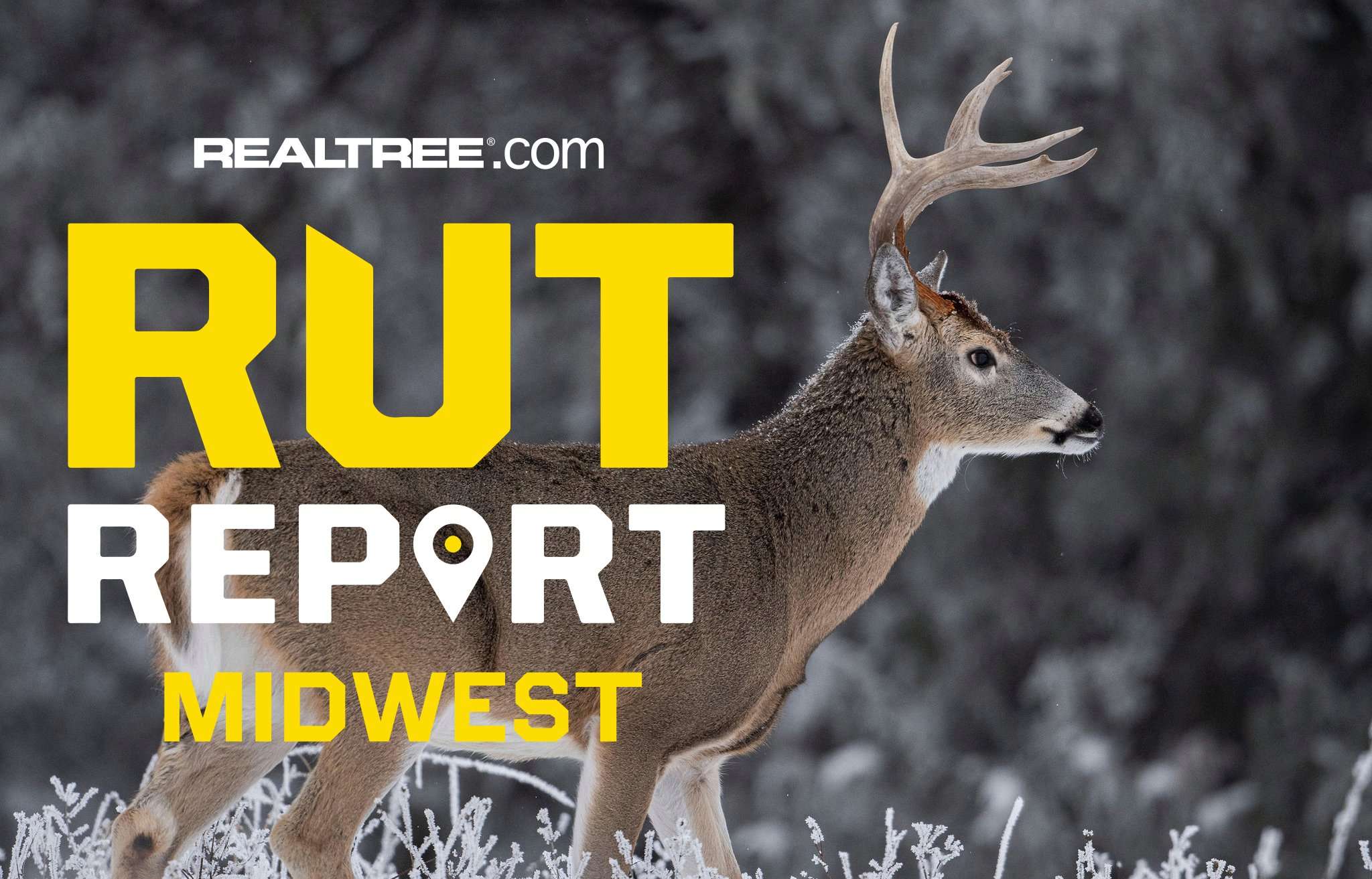 Midwest Rut Report, Season Recap: That’s a Wrap, Folks - Realtree Camo