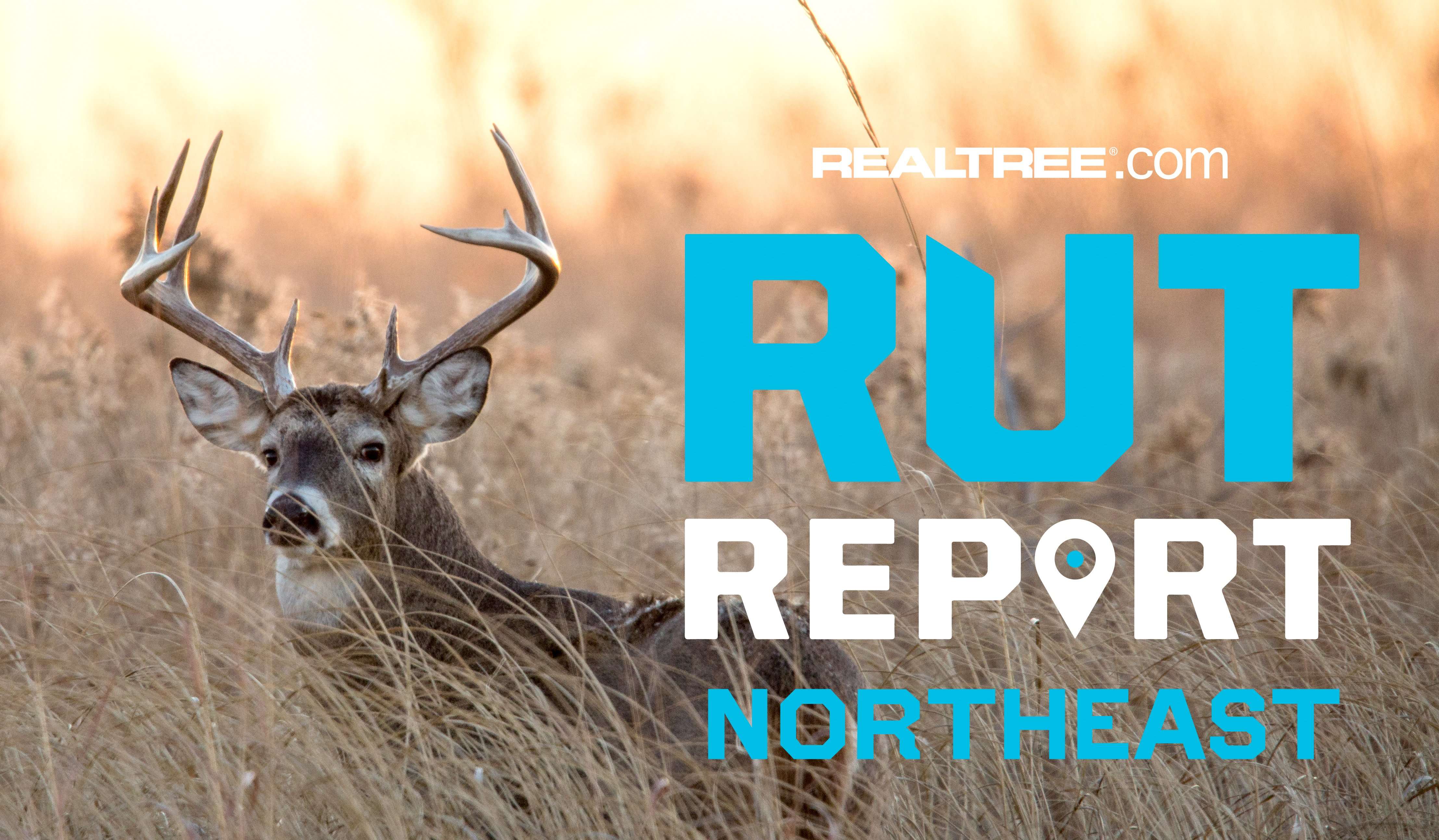Mid Week Rut Image Northeast Rut Report, Week 4: Change is in the Wind - Realtree Camo