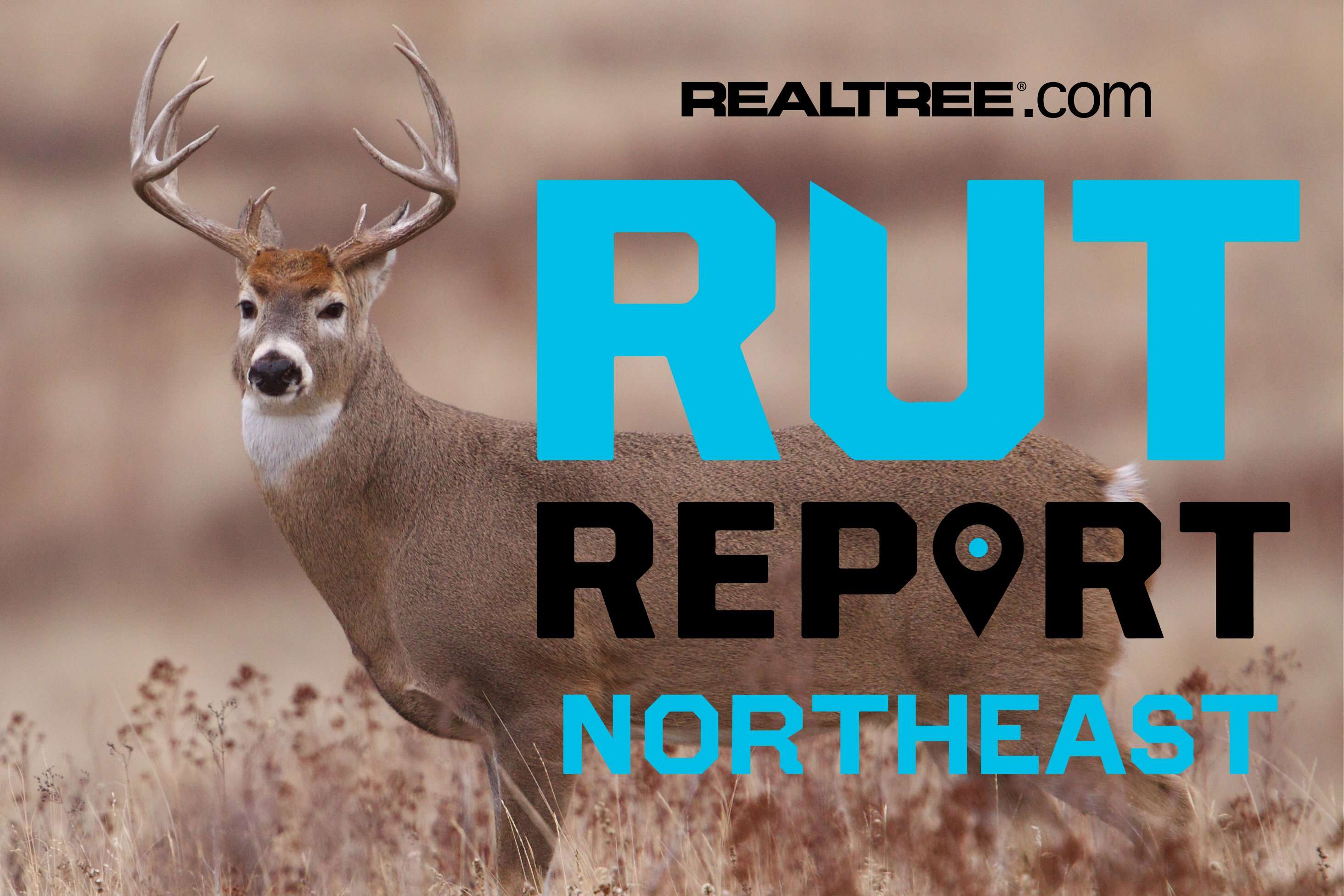 Northeast Rut Report, Week 5: A Tricky Time as the Rut Draws Near ...