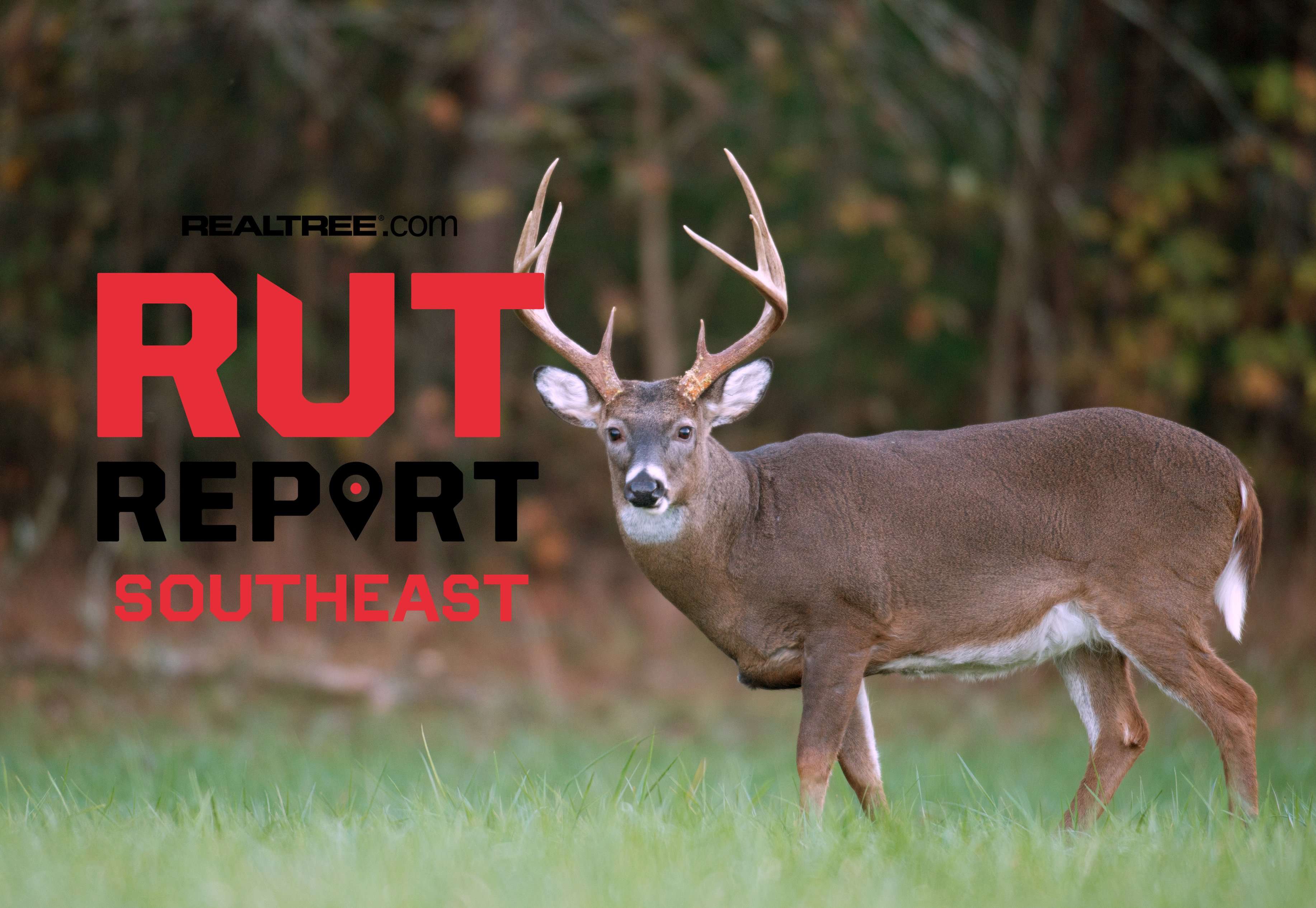 Southeastern Rut Report, Week 5: Rut Taking Off in Some States, Slow ...