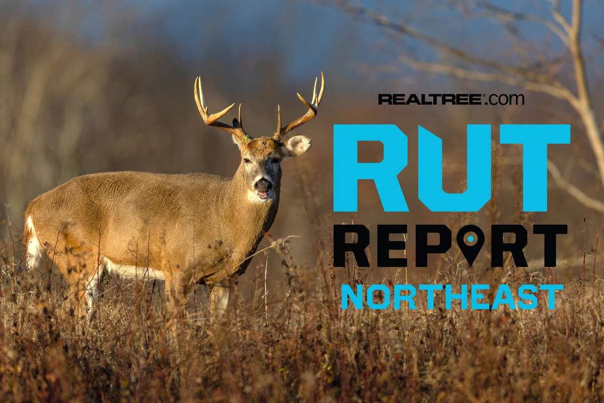 Northeast Rut Report: Wind, Weather and Big Irons: The Late Rut Turns ...