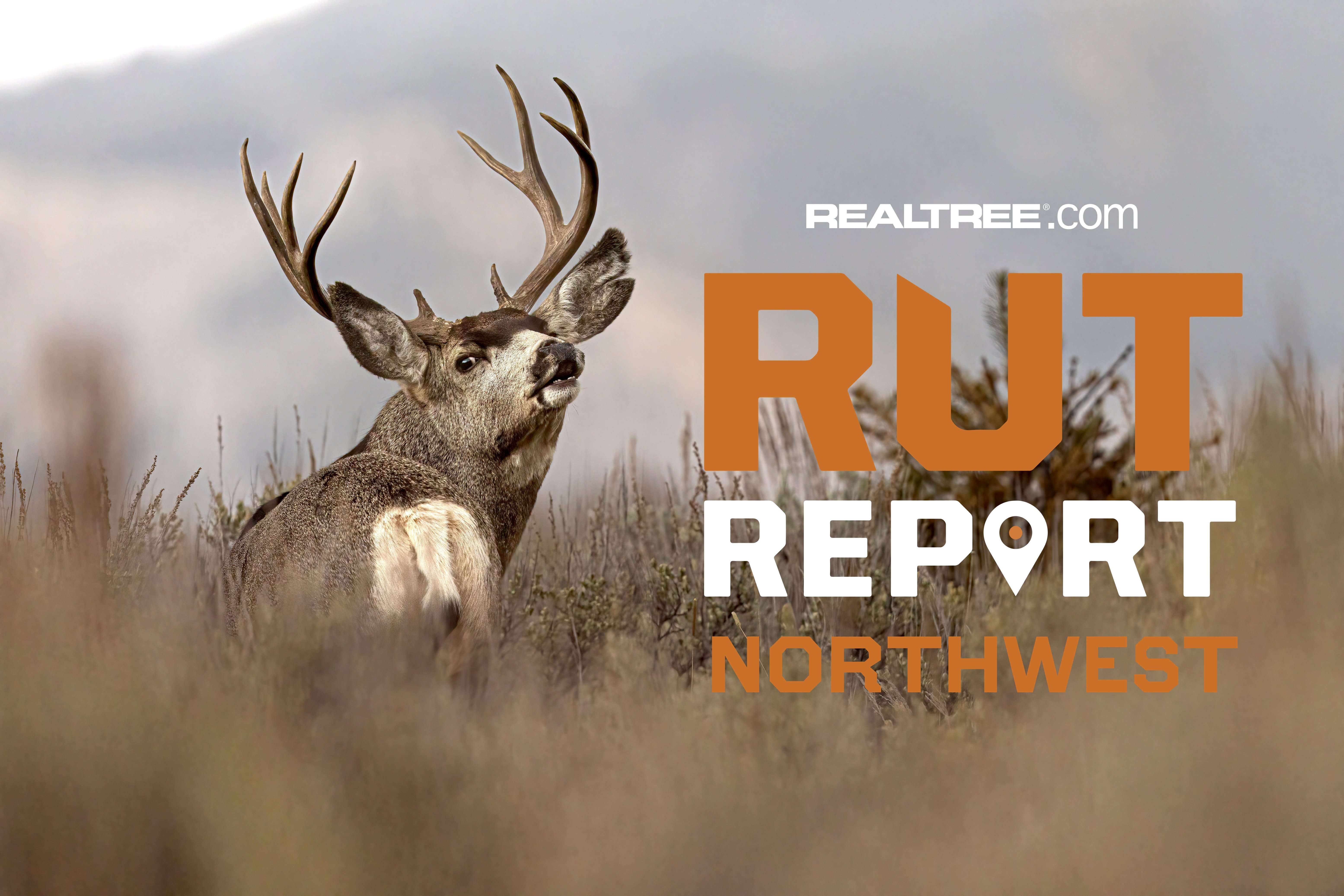 Northwest Rut Report, Week 6: The Chase is On - Realtree Camo