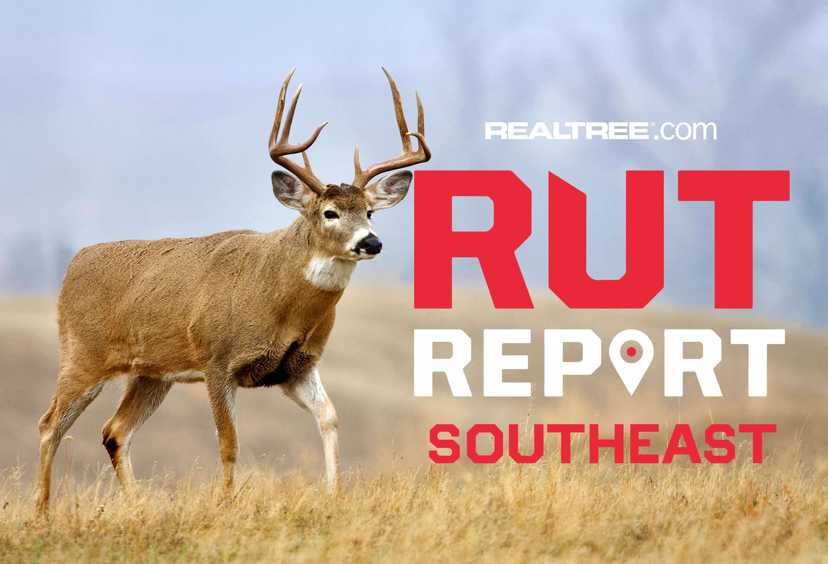 Southeast Rut Report, Week 6: Weather a Mixed Bag as Rut Activity ...