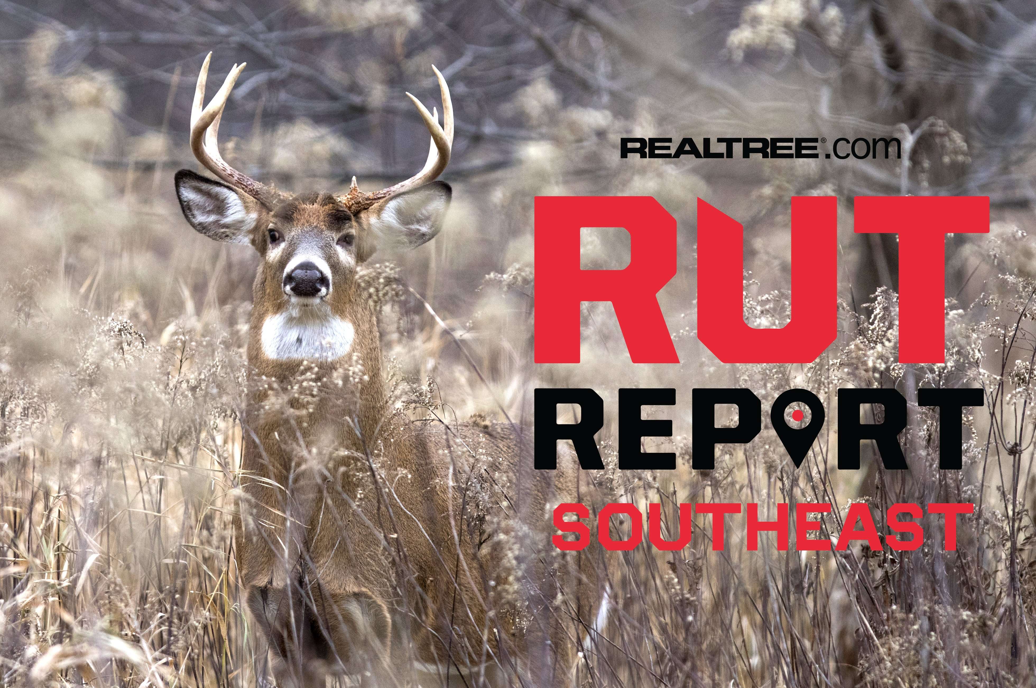 Southeast Rut Report: Rut Intensifies Across the Southeast as Weather ...