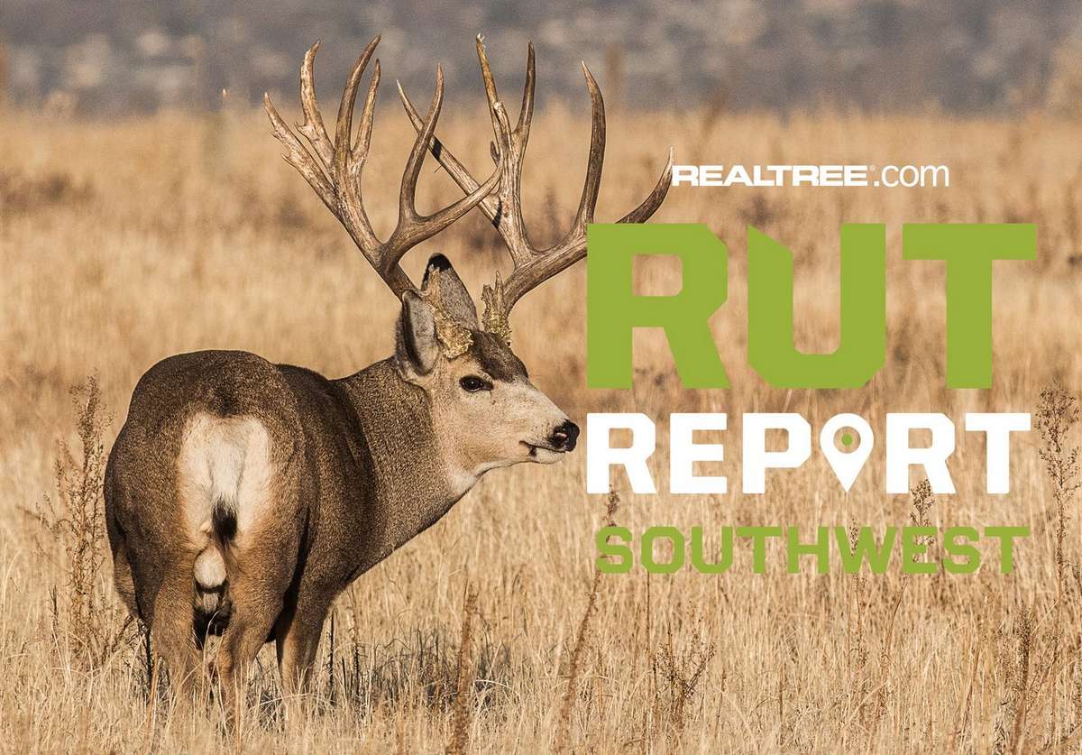 Southwest Rut Report, Week 6: Big Weather Brings in the Rut. - Realtree ...