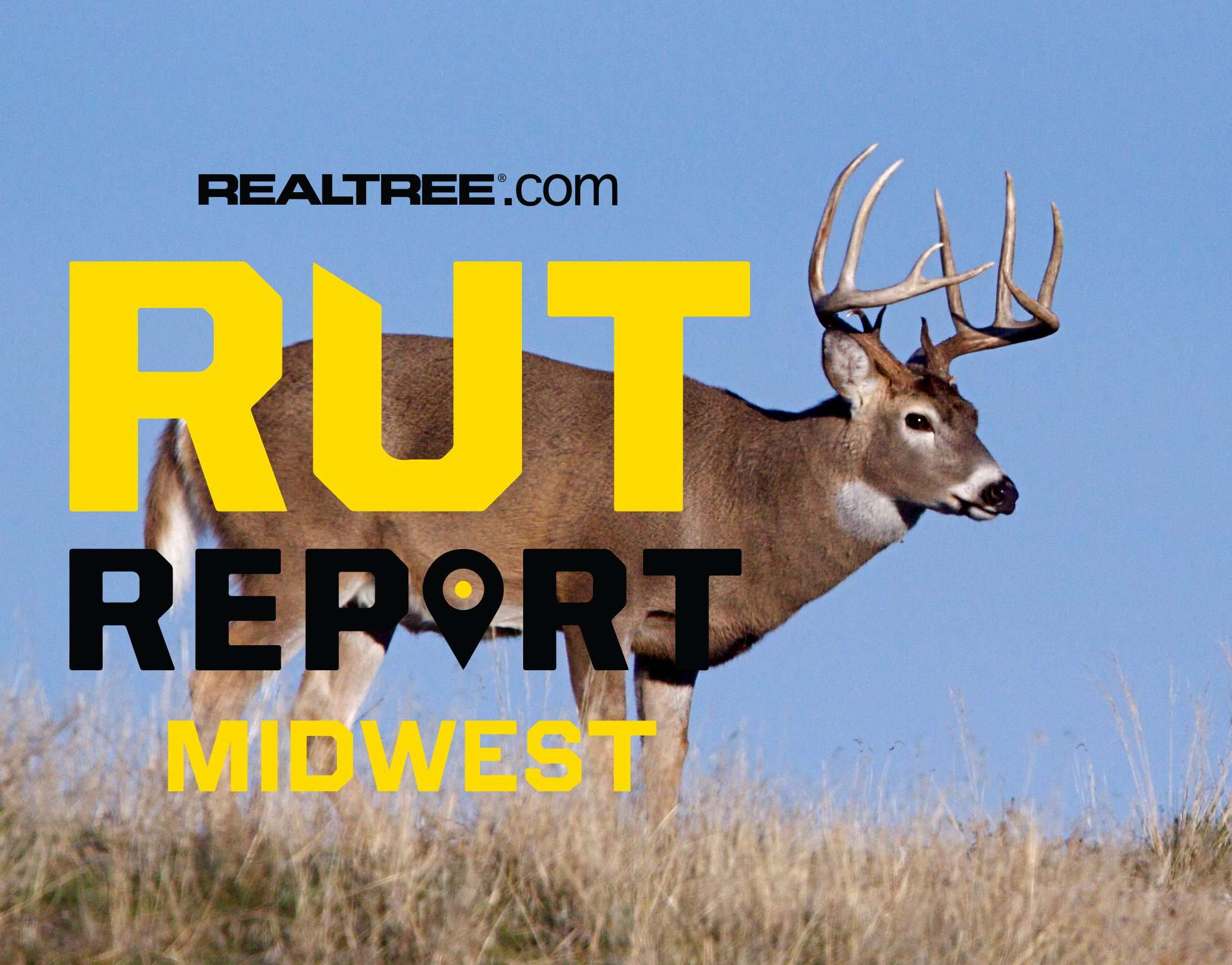 Midwest Rut Report, Week 7: The Lockdown is Over - Realtree Camo