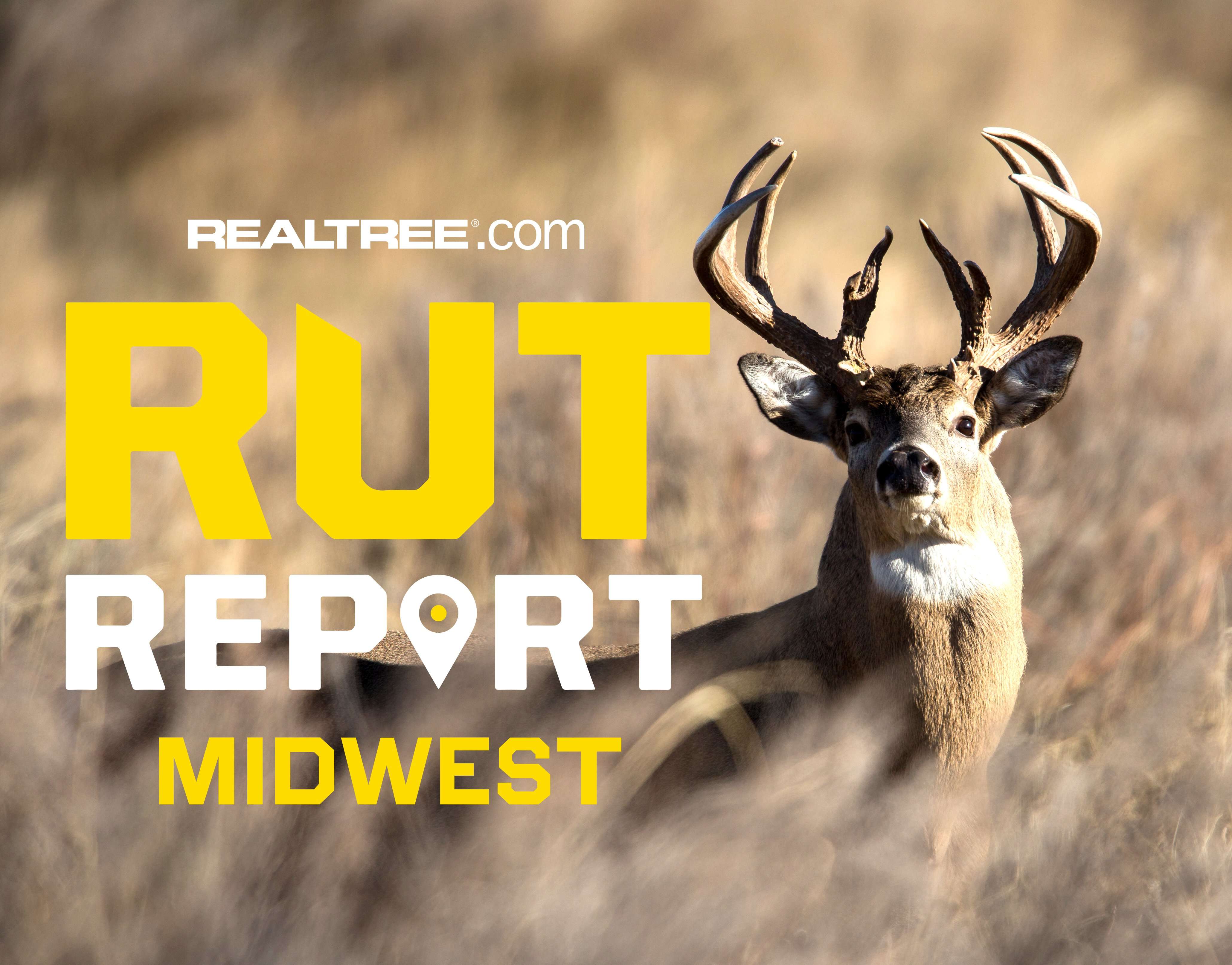 Midwest Rut Report: Primary Rut Winding Down; Some Bucks Looking ...