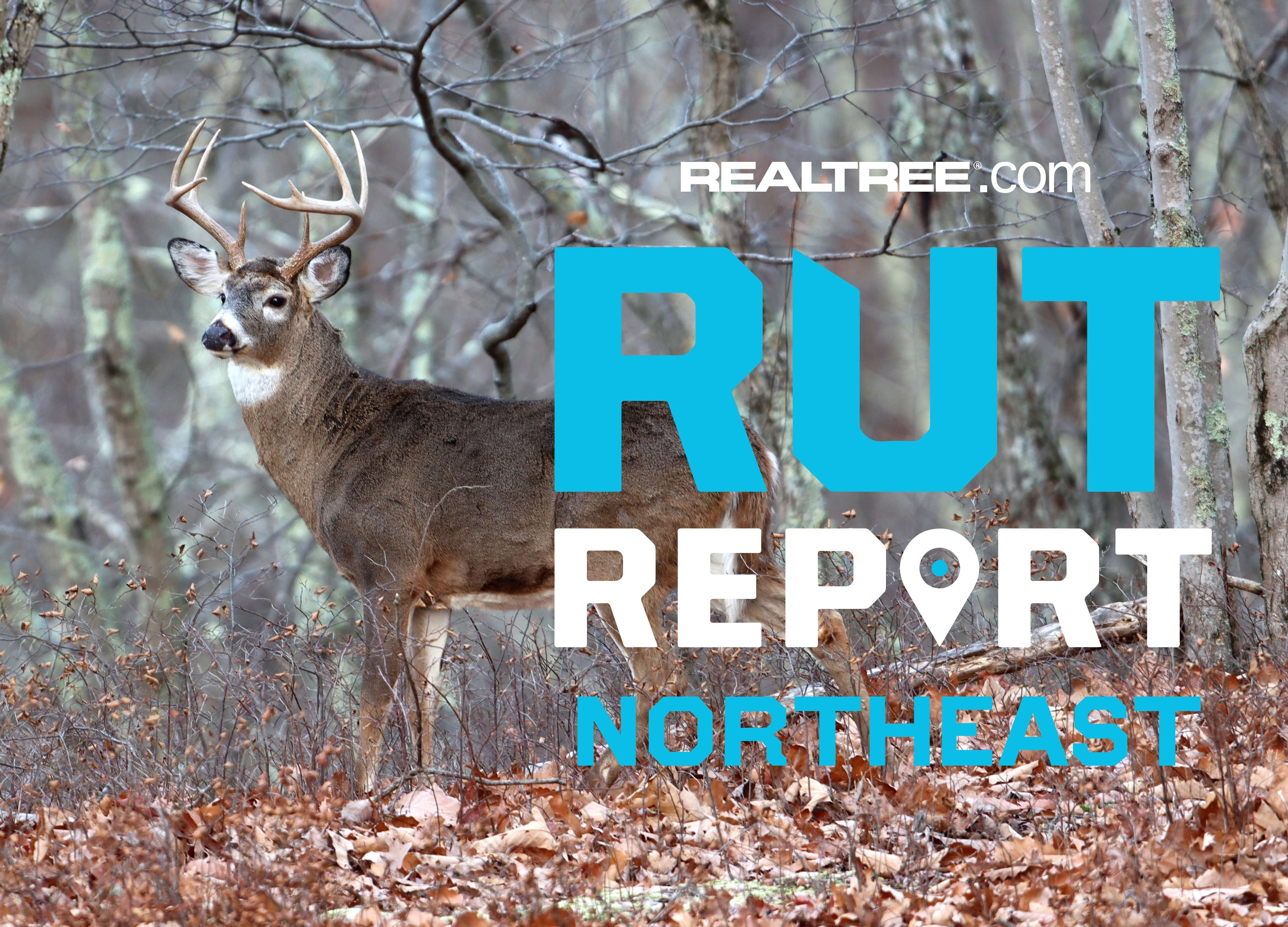 Northeast Rut Report: From Rut to Recovery — the Transition is ...