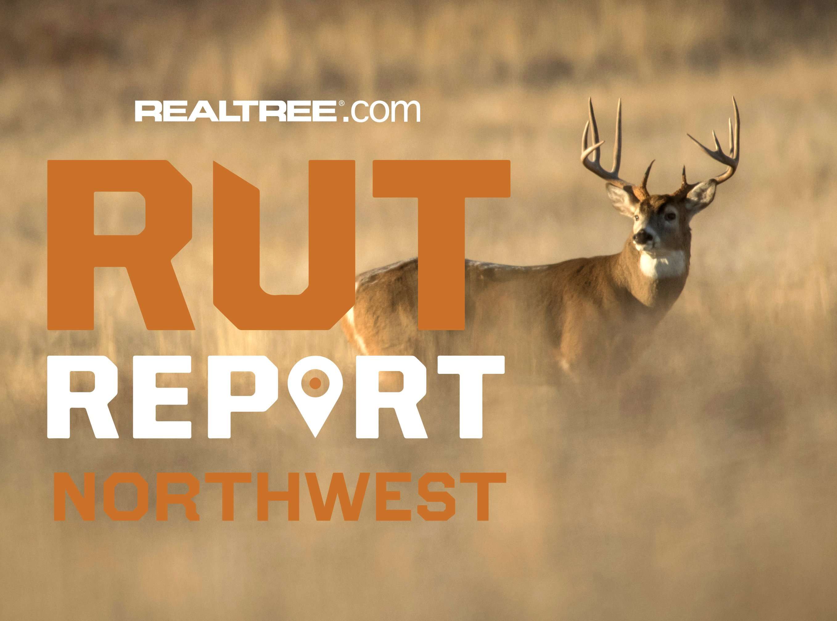 Northwest Rut Report: Weather and Pressure Making Hunting Tough in the ...