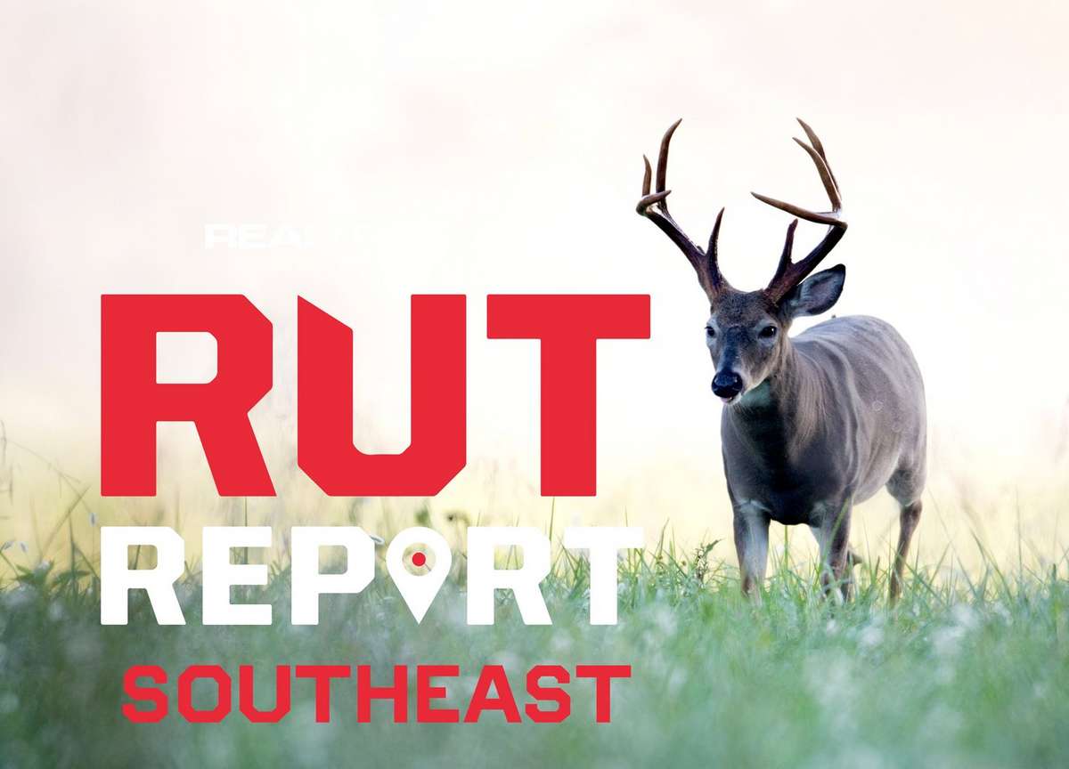 Southeast Rut Report, Week 7: Warm Weather Stalling Buck Movement ...