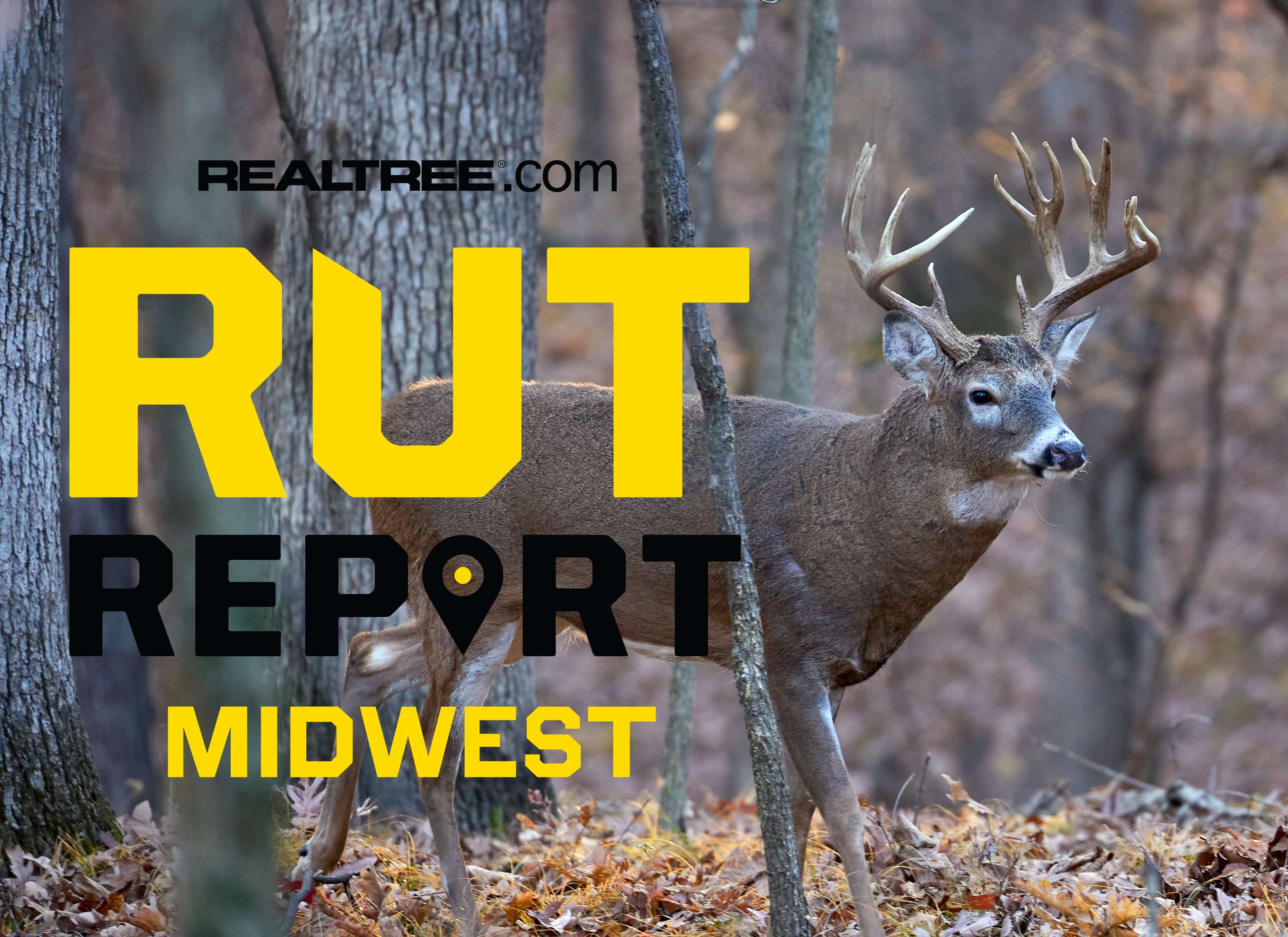 Mid Week Rut Image Midwest Rut Report, Week 8: Rut Winding Down, but Not Over - Realtree Camo