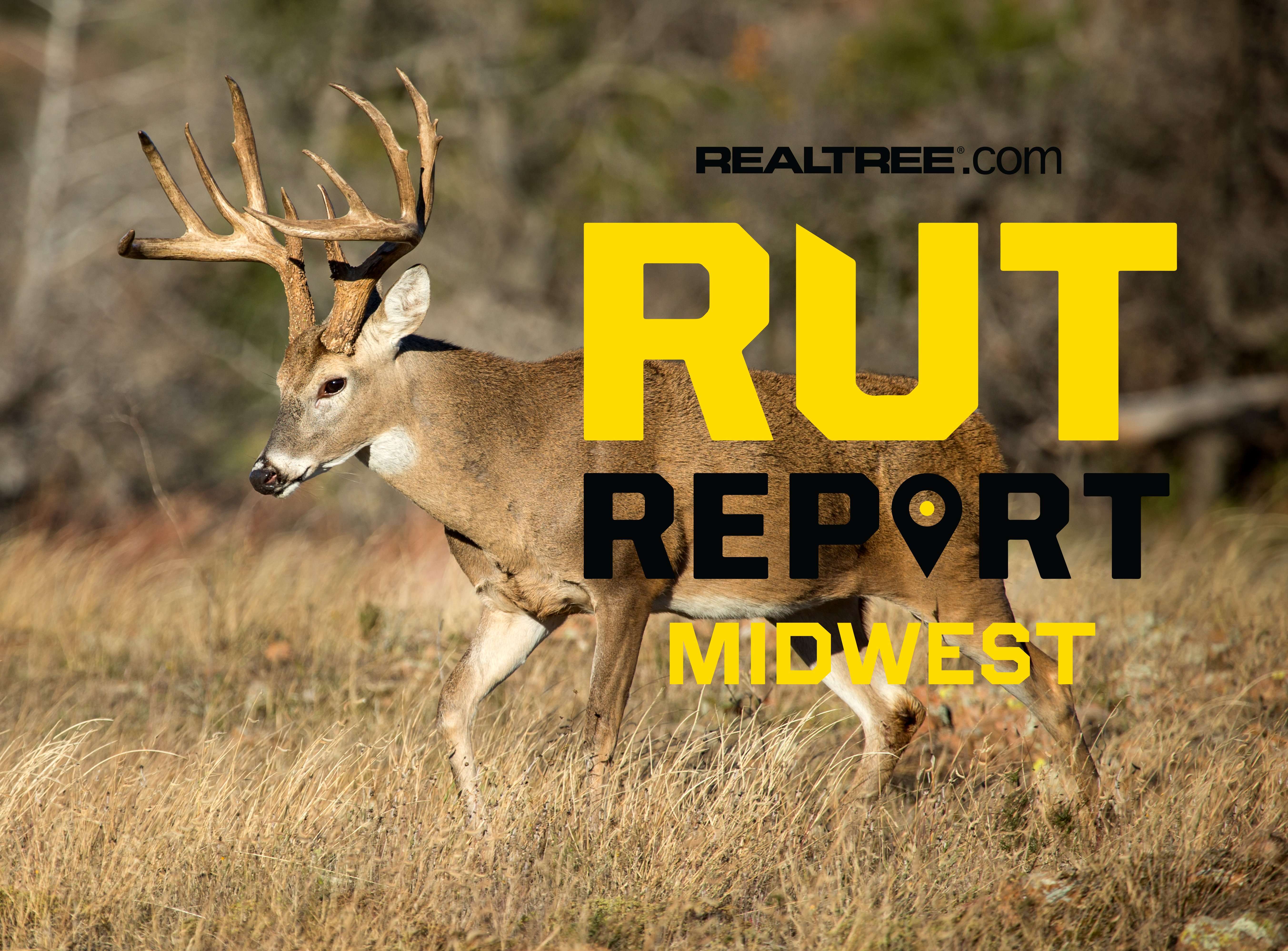 Midwest Rut Report: The Rut’s Finished, Bucks Back on Food Sources ...