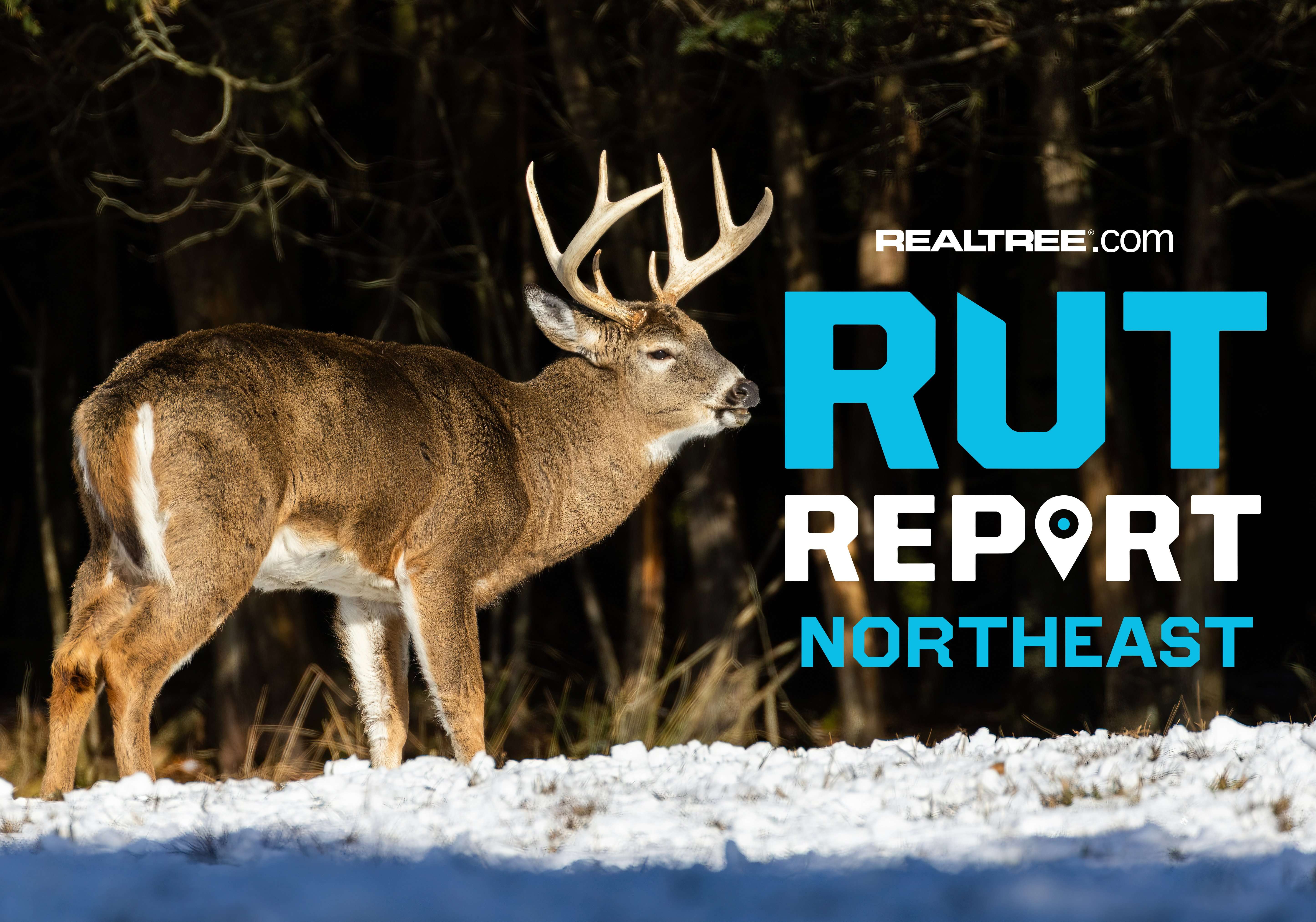 Northeast Rut Report: Wind, Snow and a Waning Rut: The Northeast Enters ...