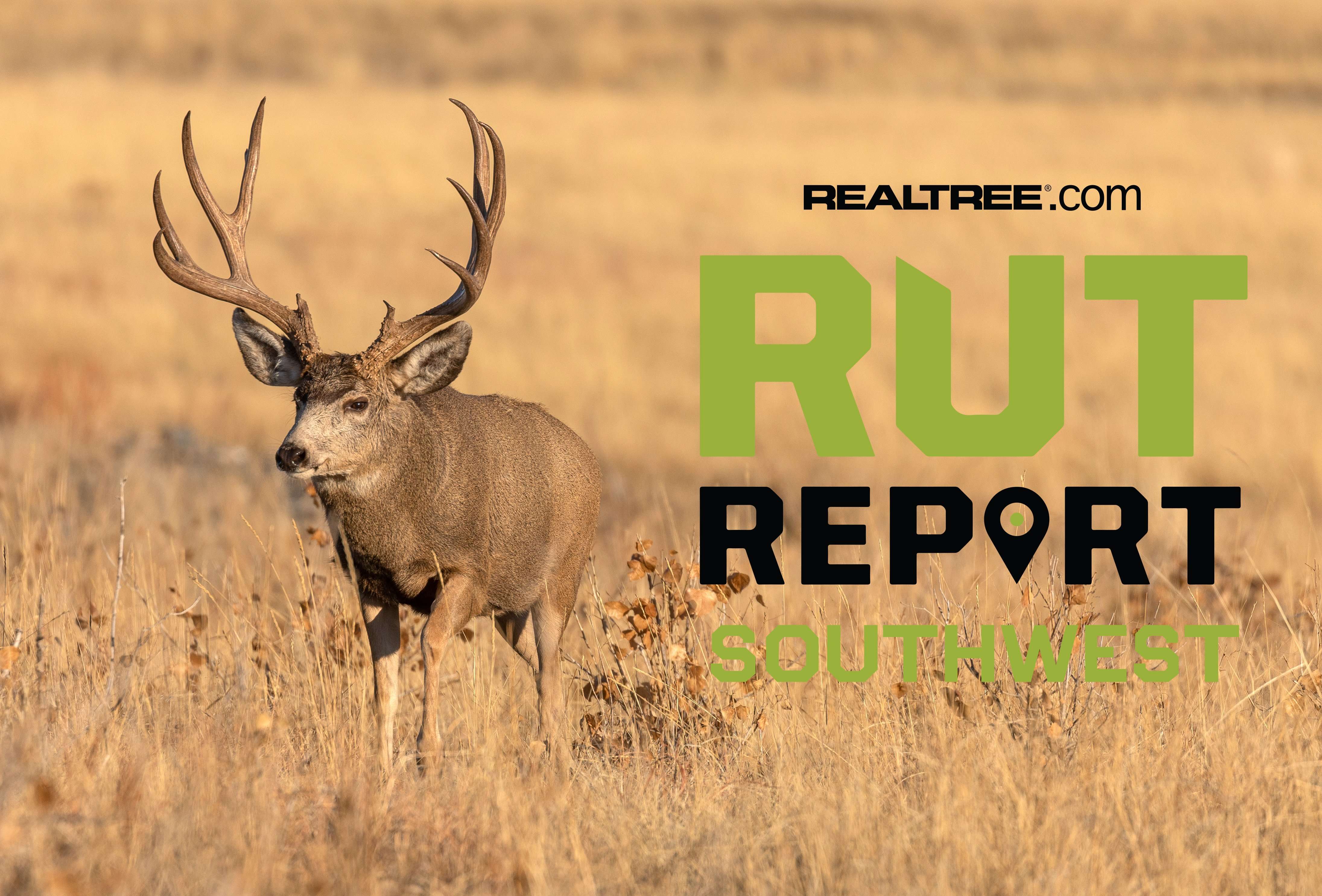 South Texas Rut Southwest Rut Report: Action is Winding Down in Many Areas, but Some ...