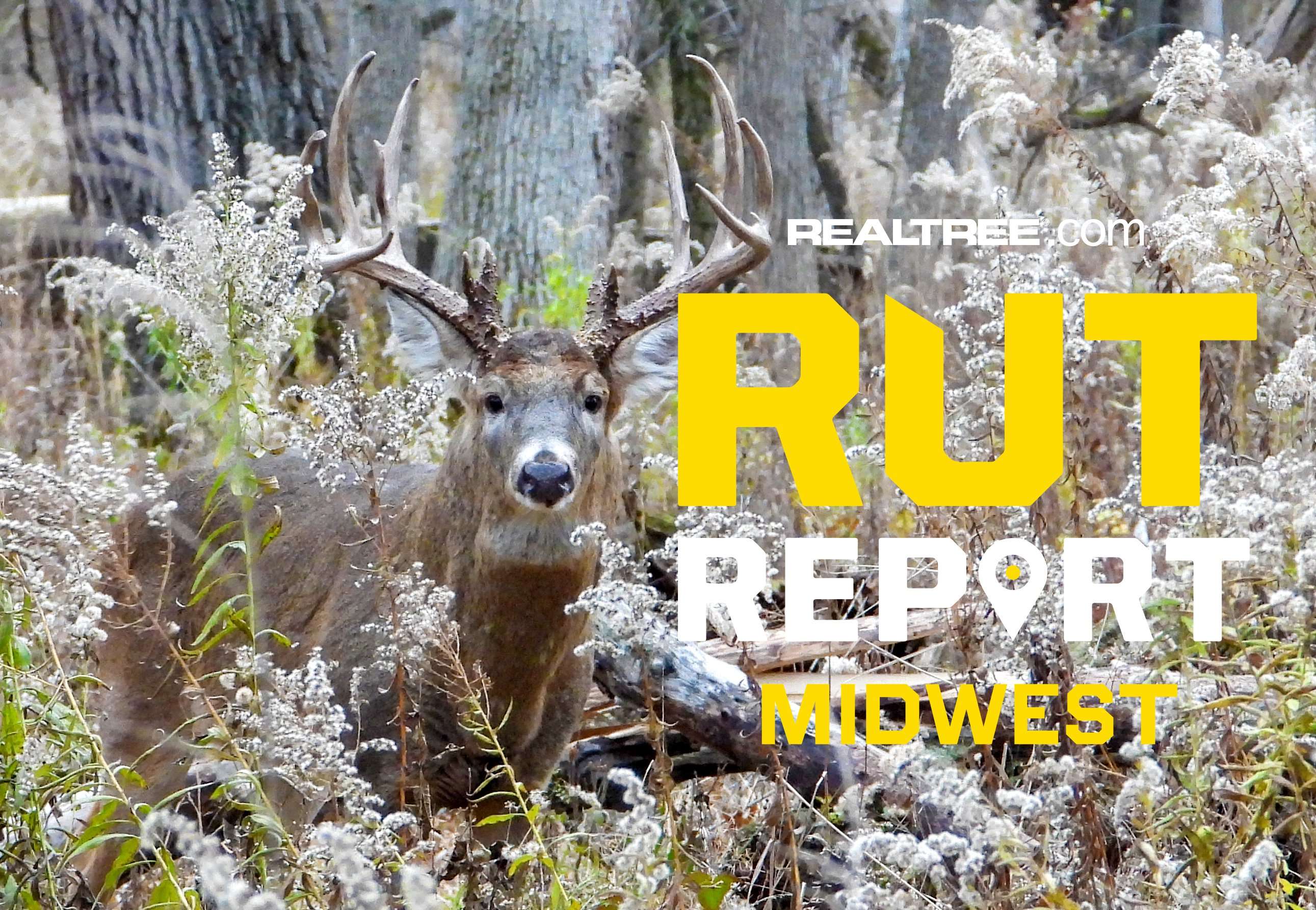 Midwest Rut Report, Week 9: Plains Bucks Gearing Up For the Second Rut ...