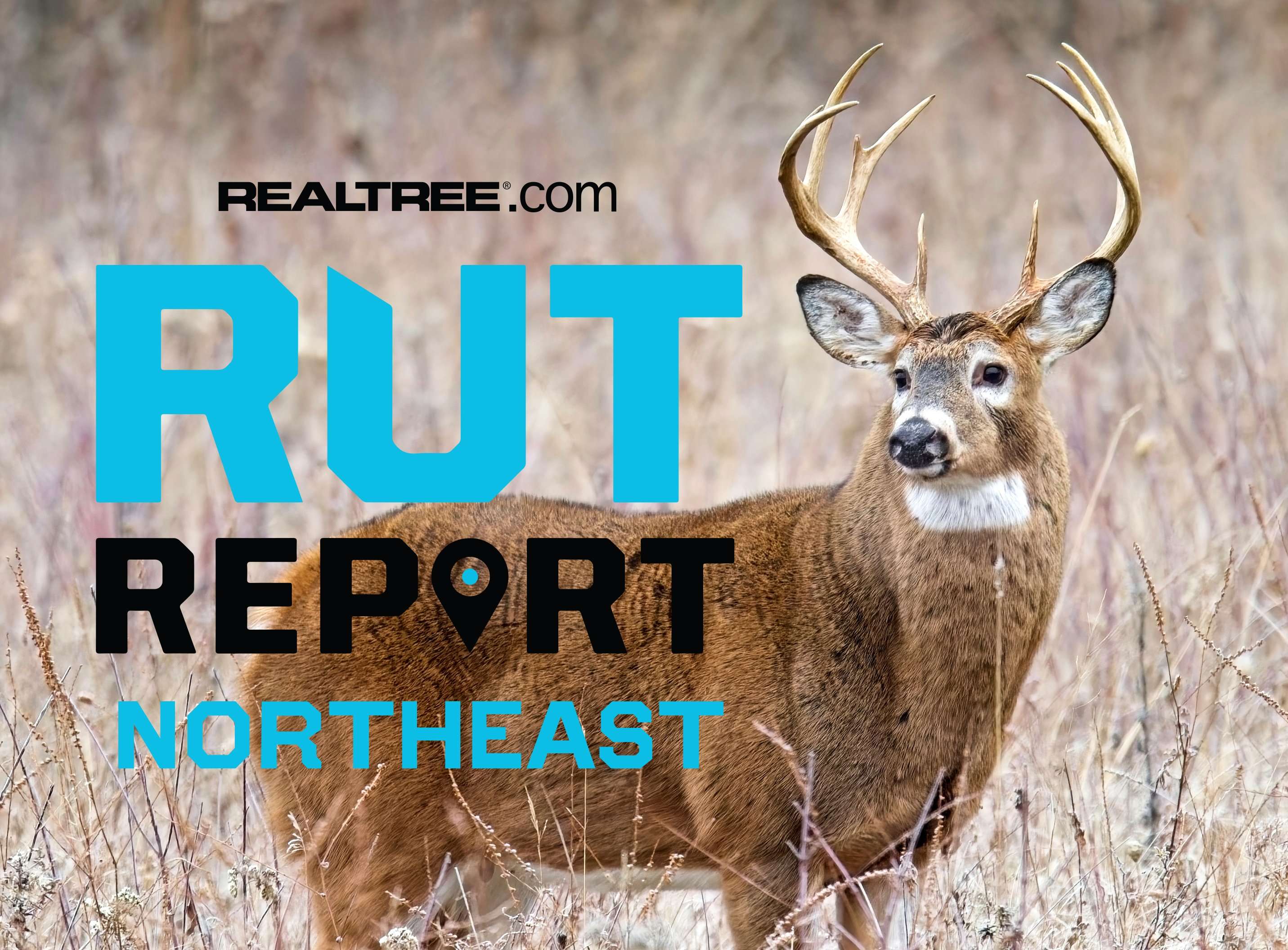 Northeast Rut Report: December Surprise: Bucks Still Brawling as Winter ...