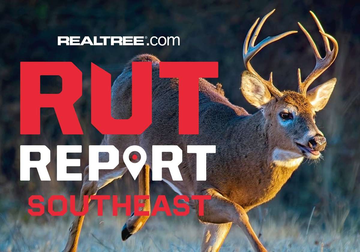 Southeast Rut Report, Week 9: Rut Picking Up in Some Areas, Slowing ...