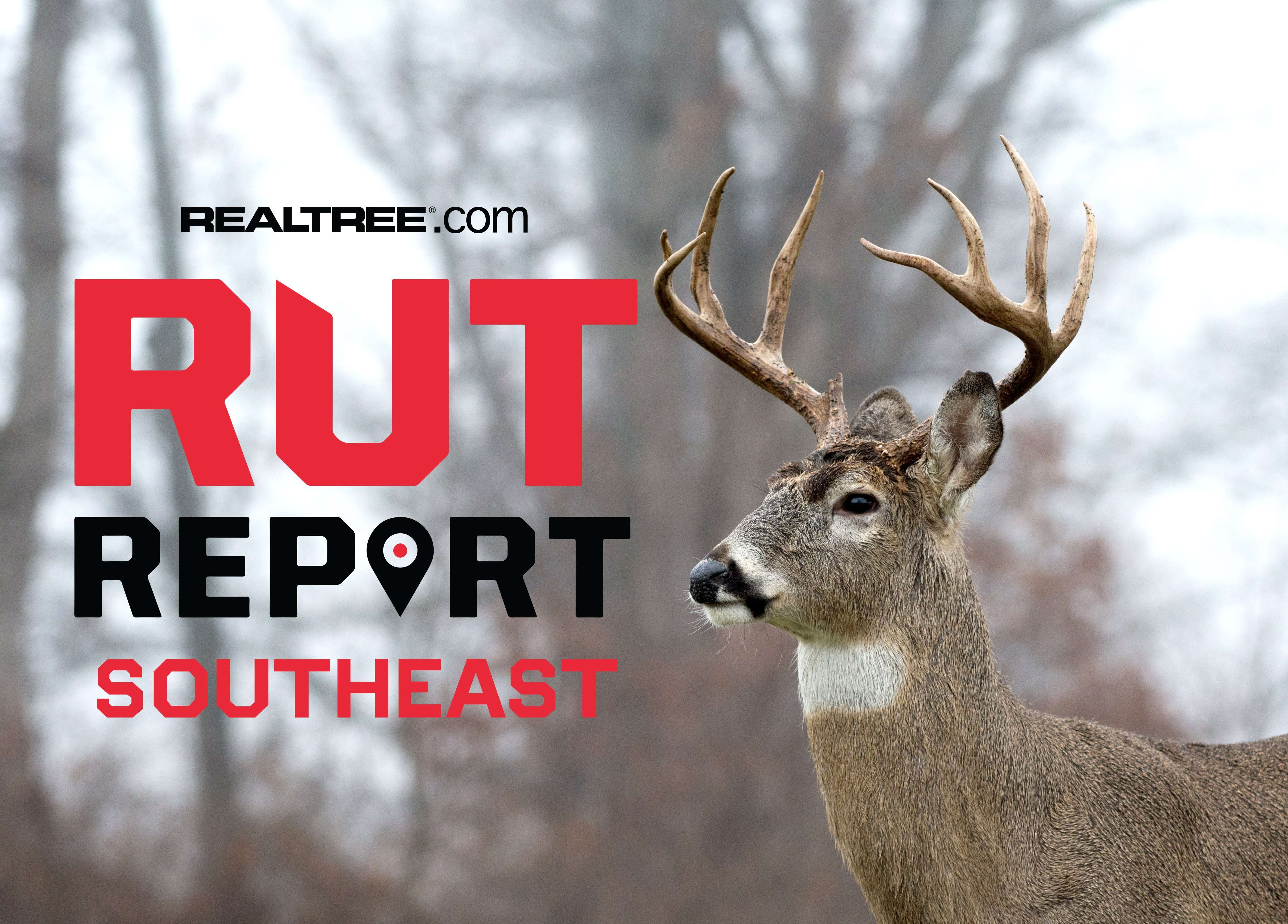 Southeast Rut Report: Winter Weather Sets in as Rut Activity Varies ...
