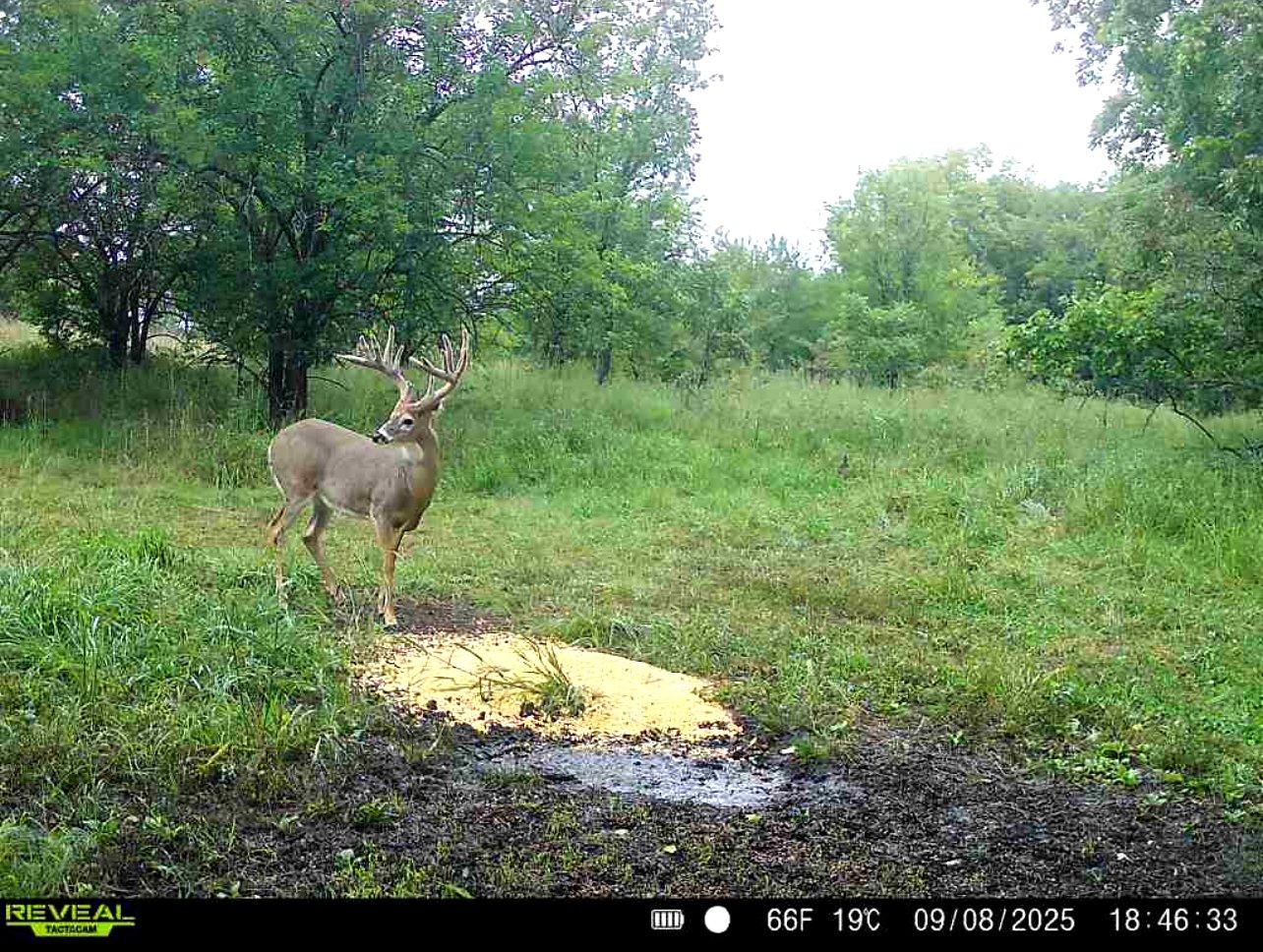 Image: rr_blackburn_1