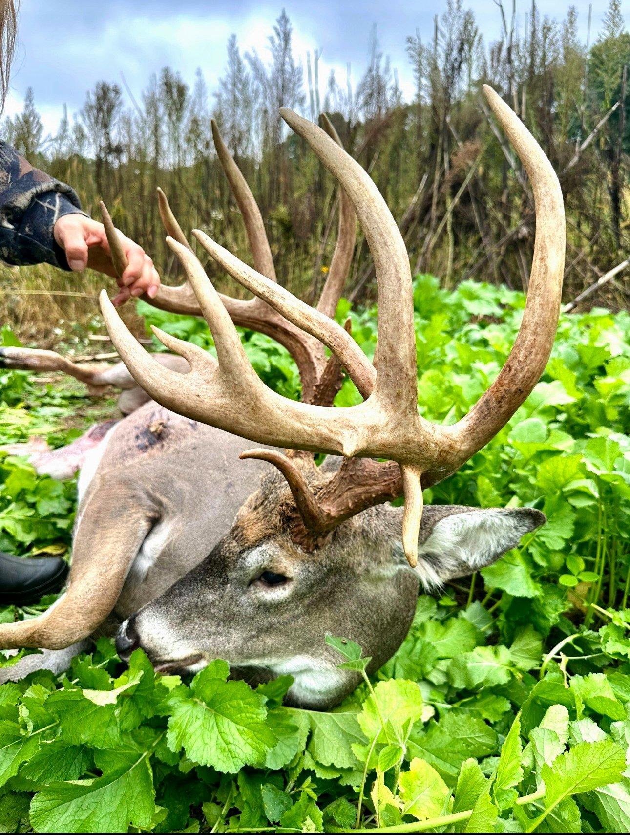 Image: rr_gawrysiak_2