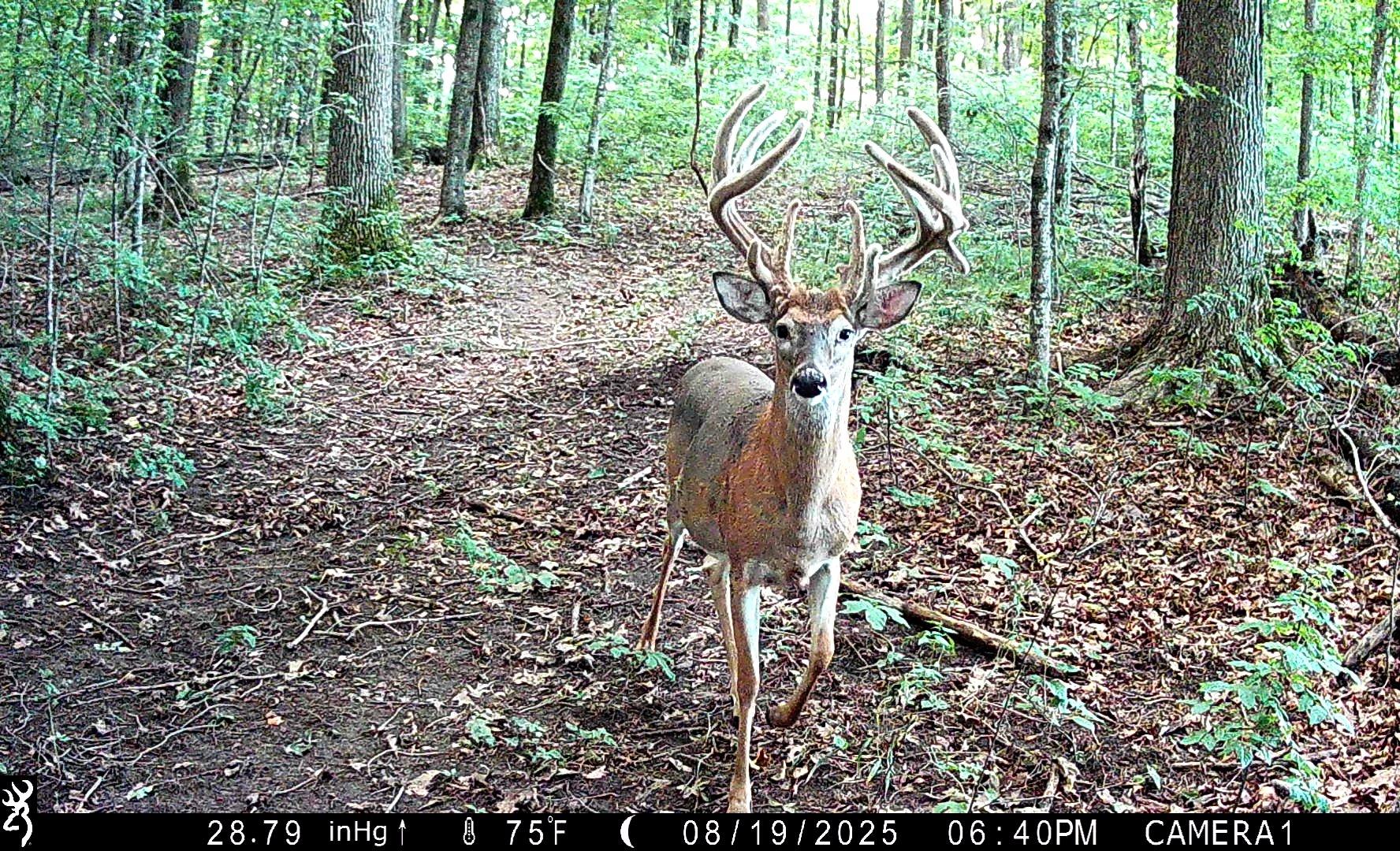 Image: rr_gawrysiak_4