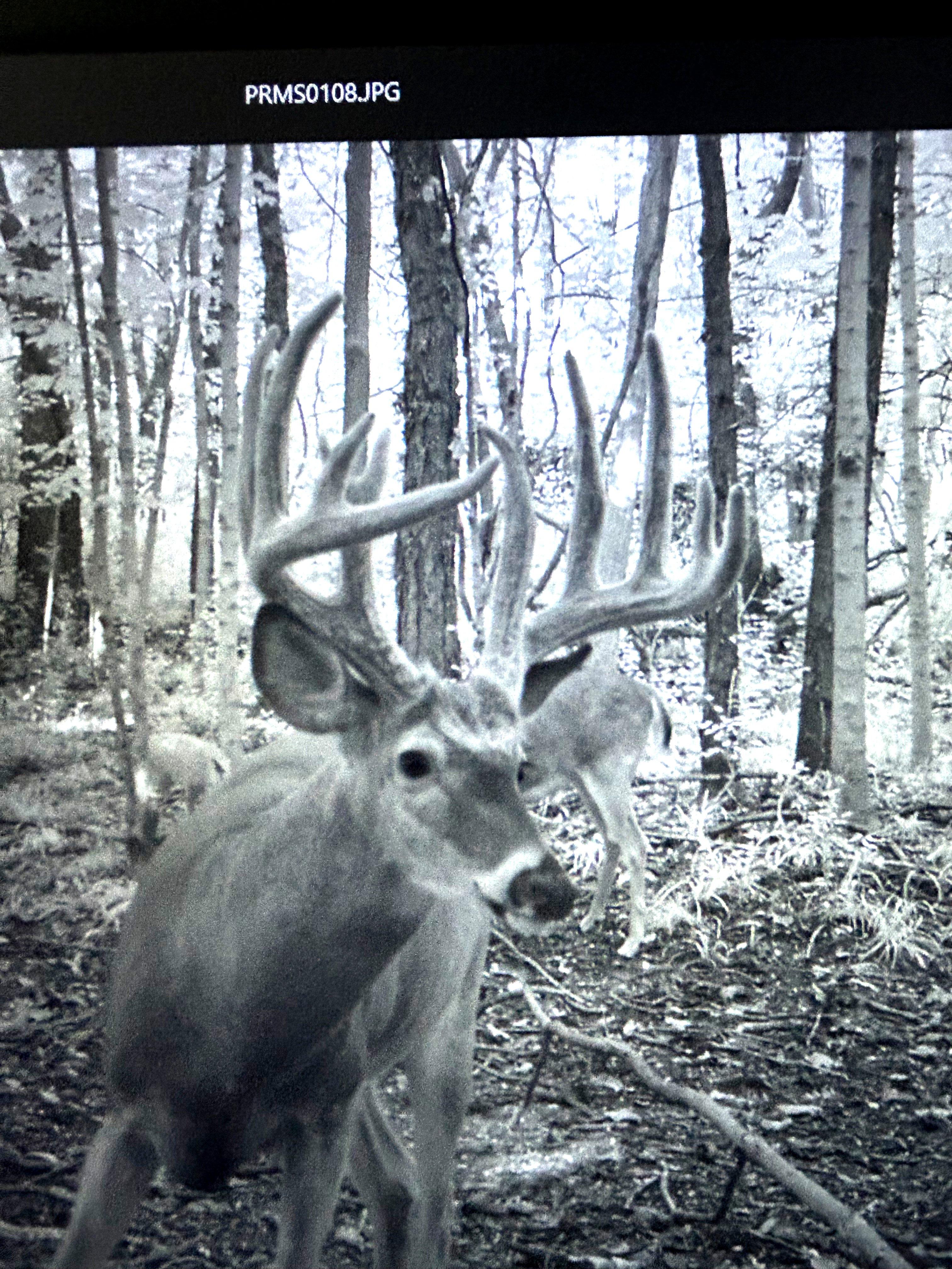 Image: rr_giancola_3