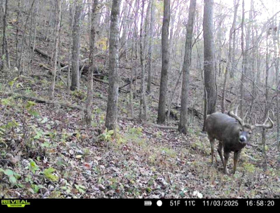 Image: rr_horstman_5