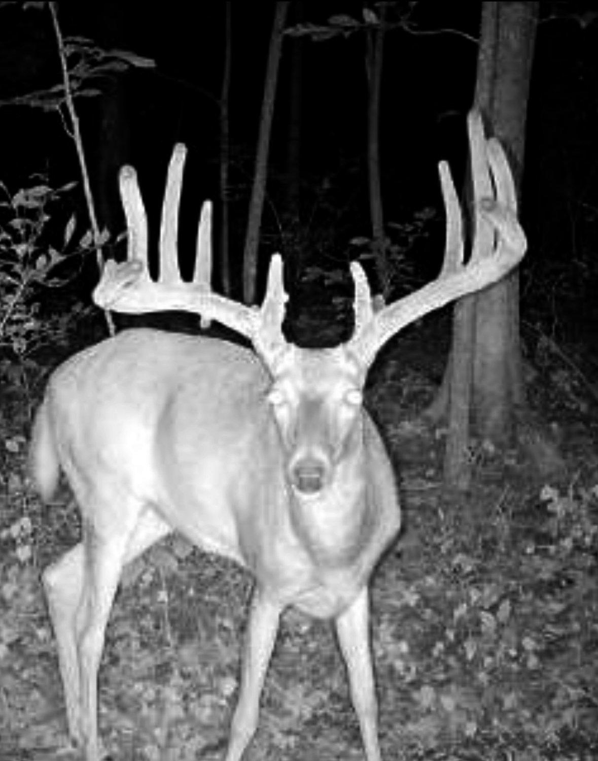 Image: rr_jefferson_1