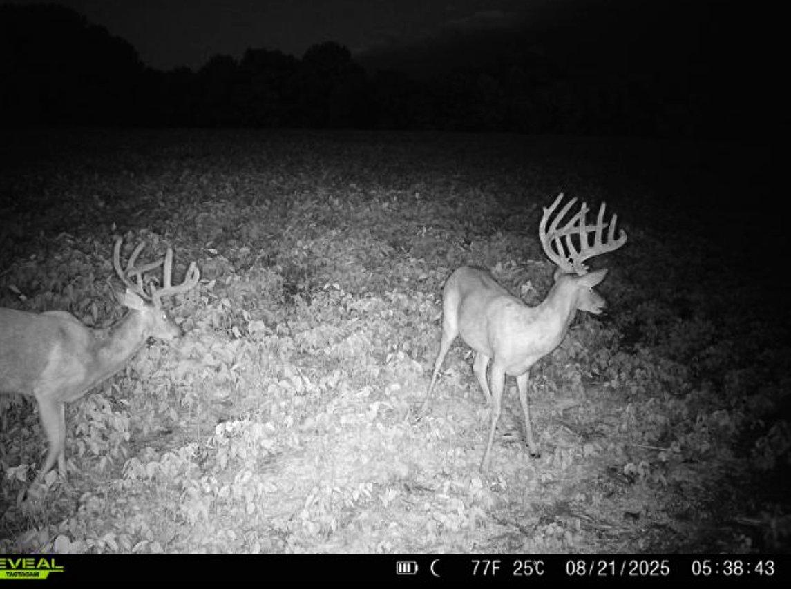 Image: rr_joseph_rushing_5