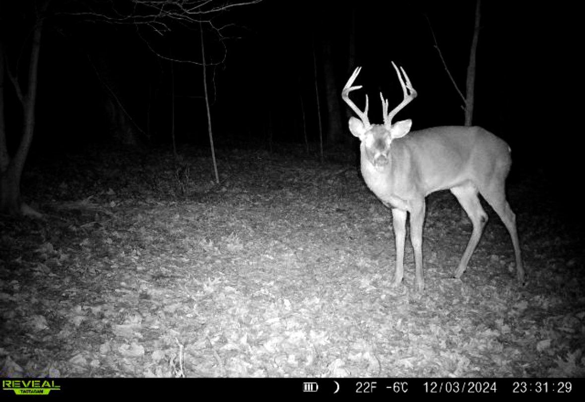 Image: rr_joseph_rushing_6