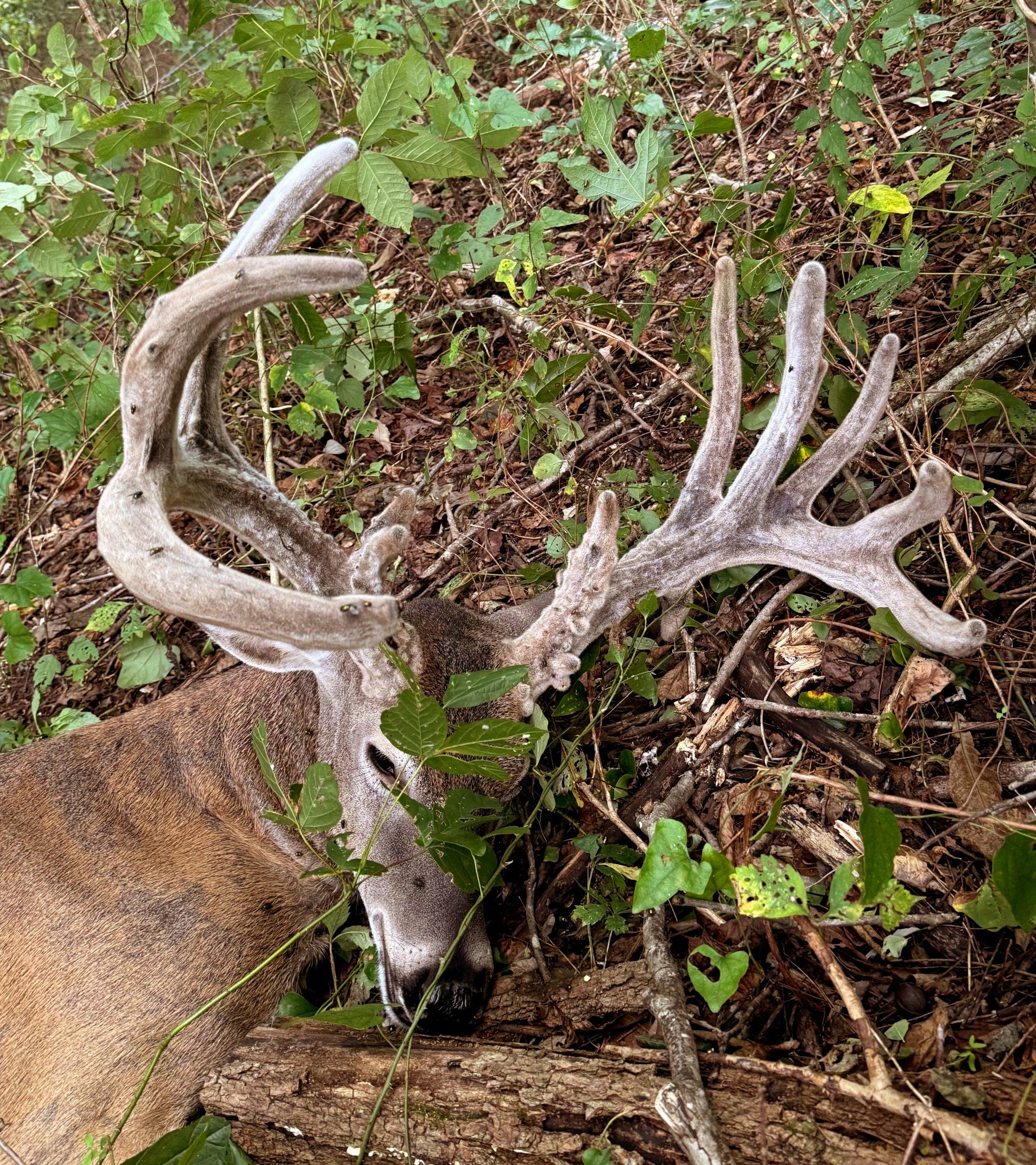 Image: rr_justin_curtis_4