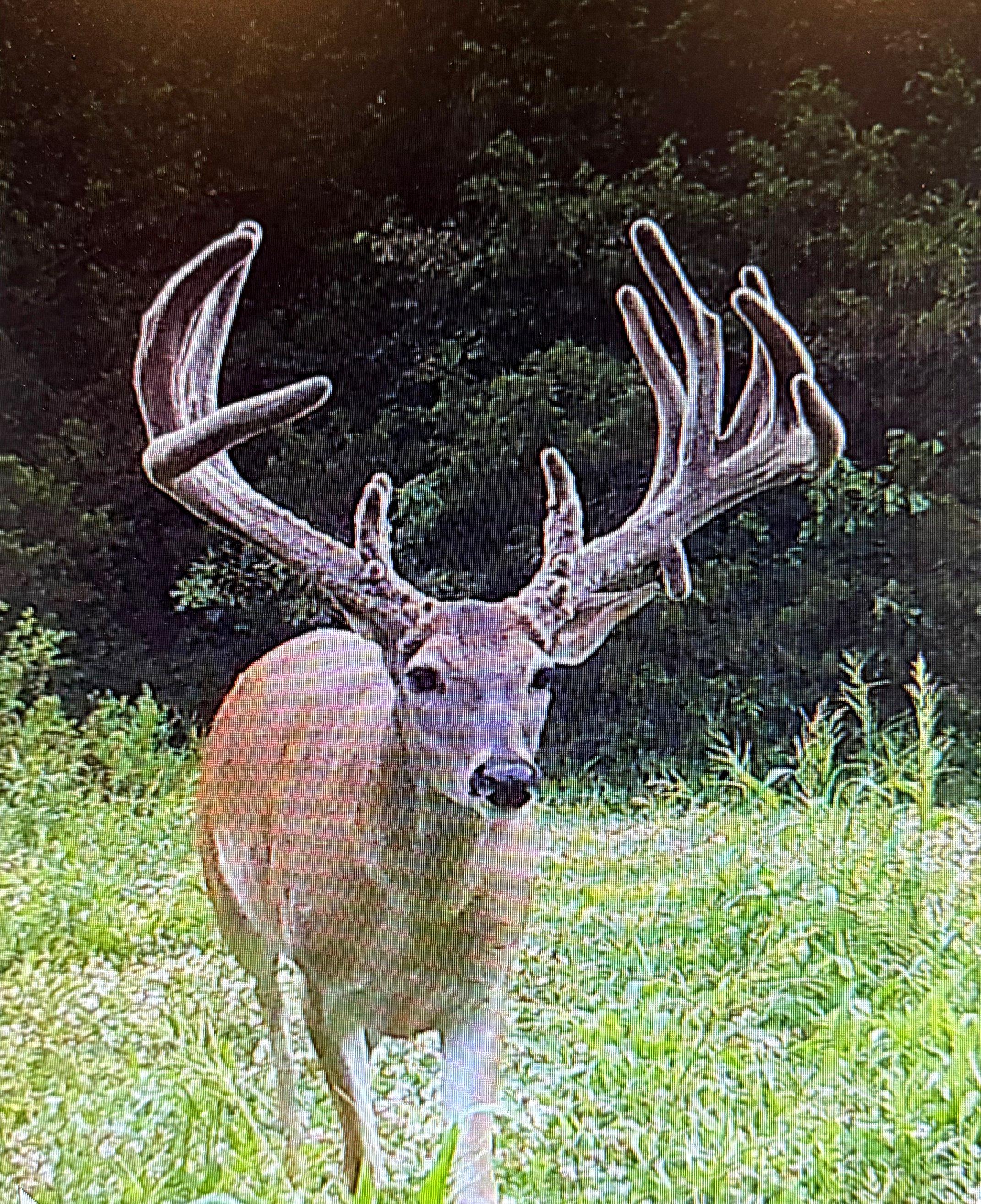 Image: rr_justin_curtis_5