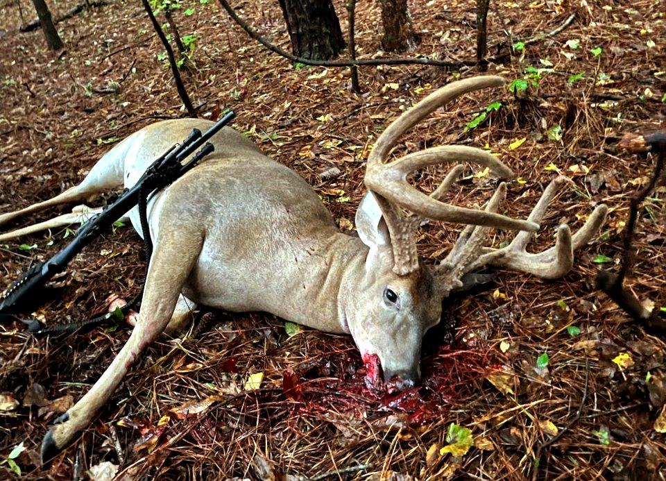 Image: rr_madison_shealy_3